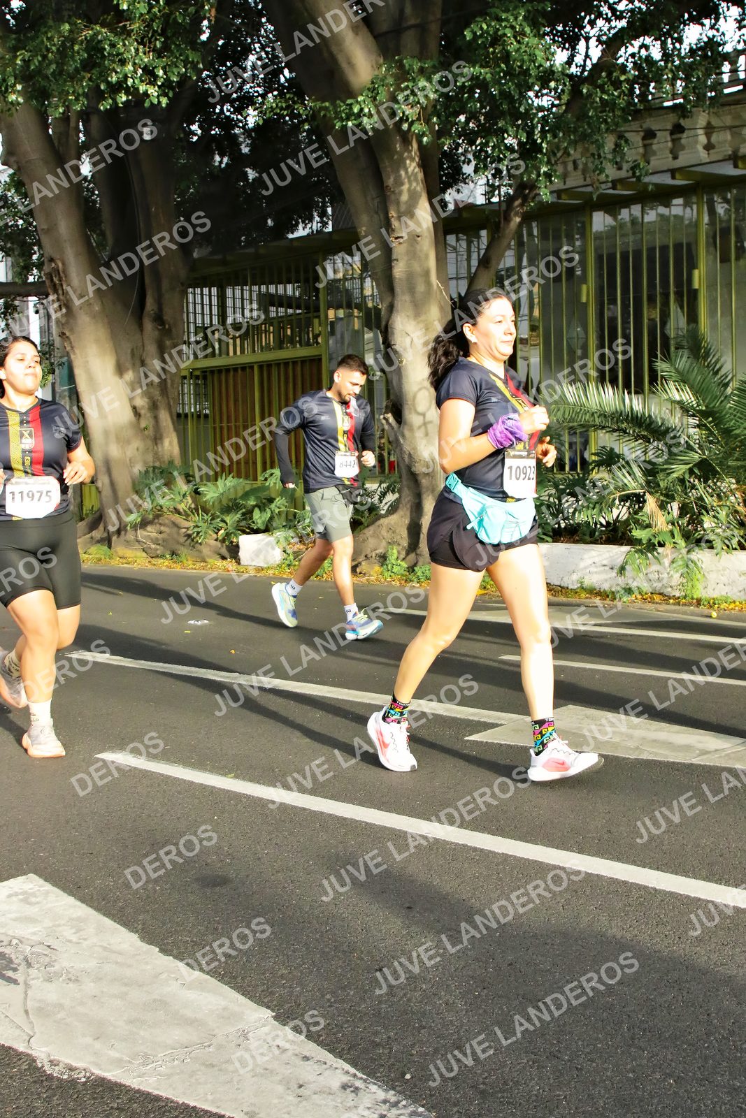 Foto de la X Carrera Leones Negros Red Cola 2026 en Rectoría General de la UdeG, Av. Juárez 976 (meta en Av. Enrique Díaz de León y Pedro Moreno), Guadalajara a las 08:03 · dorsal 11975, 10923