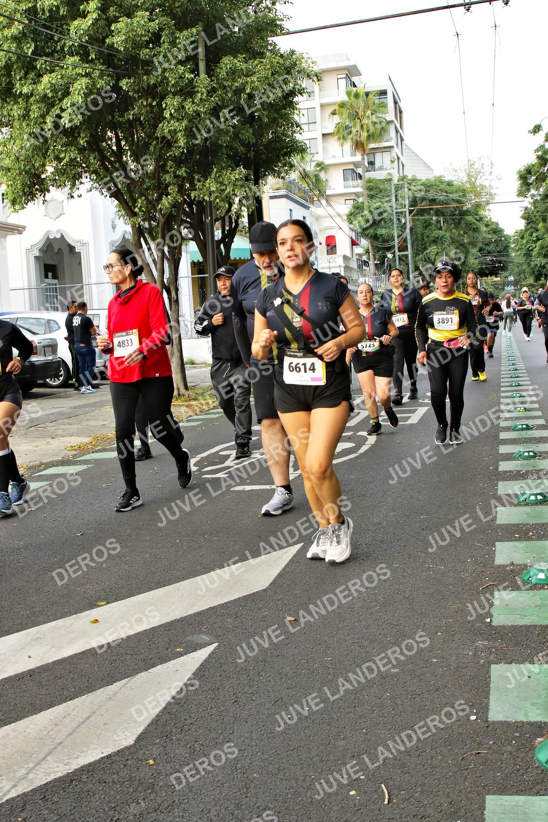 Foto de la X Carrera Leones Negros Red Cola 2026 en Rectoría General de la UdeG, Av. Juárez 976 (meta en Av. Enrique Díaz de León y Pedro Moreno), Guadalajara a las 07:18 · dorsal 6614, 4833, 3891