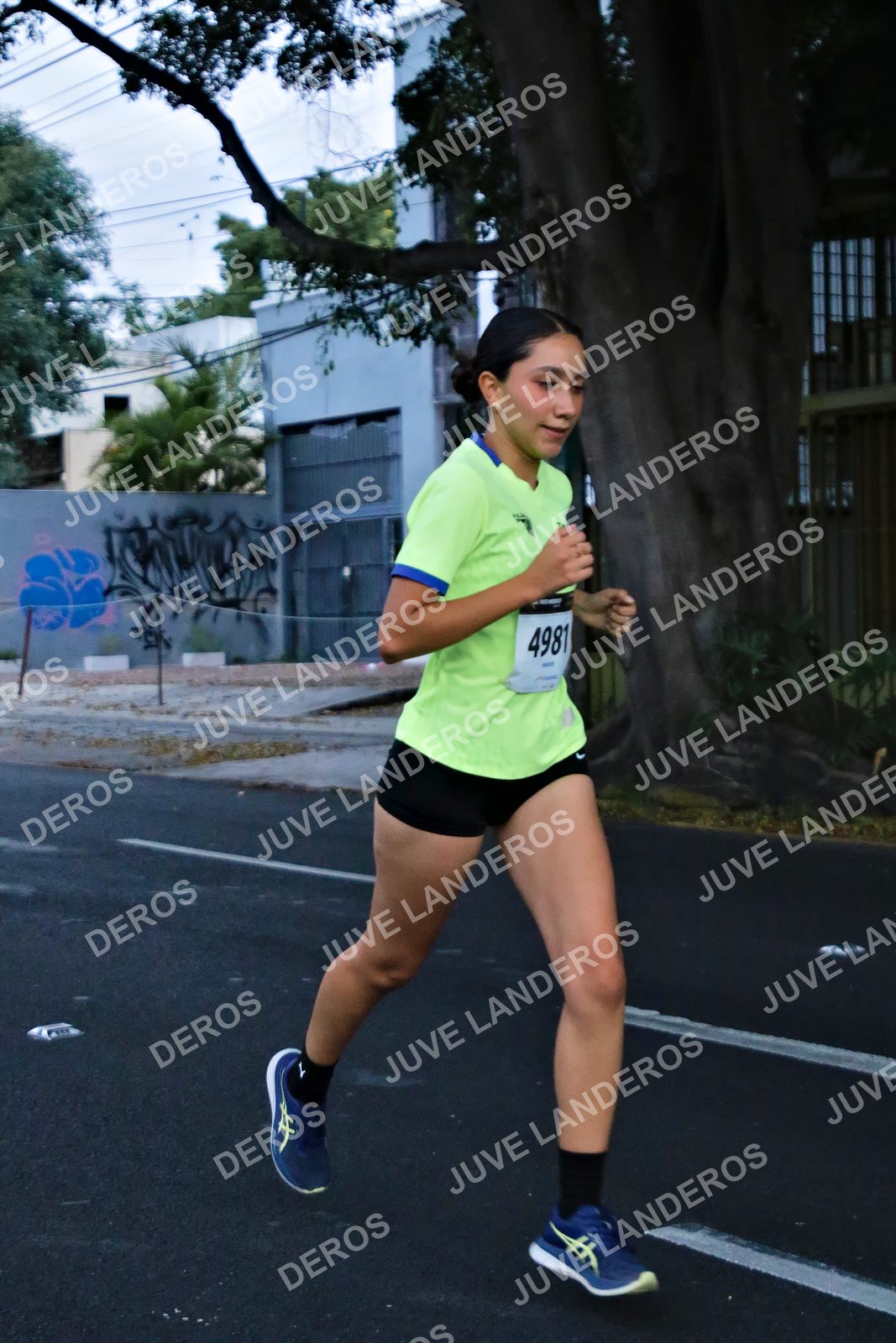 Foto de la X Carrera Leones Negros Red Cola 2026 en Rectoría General de la UdeG, Av. Juárez 976 (meta en Av. Enrique Díaz de León y Pedro Moreno), Guadalajara a las 04:54 · dorsal 4981
