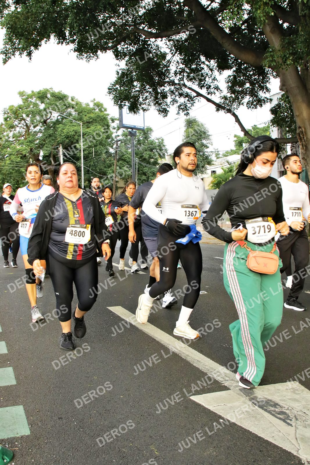 Foto de la X Carrera Leones Negros Red Cola 2026 en Rectoría General de la UdeG, Av. Juárez 976 (meta en Av. Enrique Díaz de León y Pedro Moreno), Guadalajara a las 07:21 · dorsal 1711, 3719, 1367, 4800