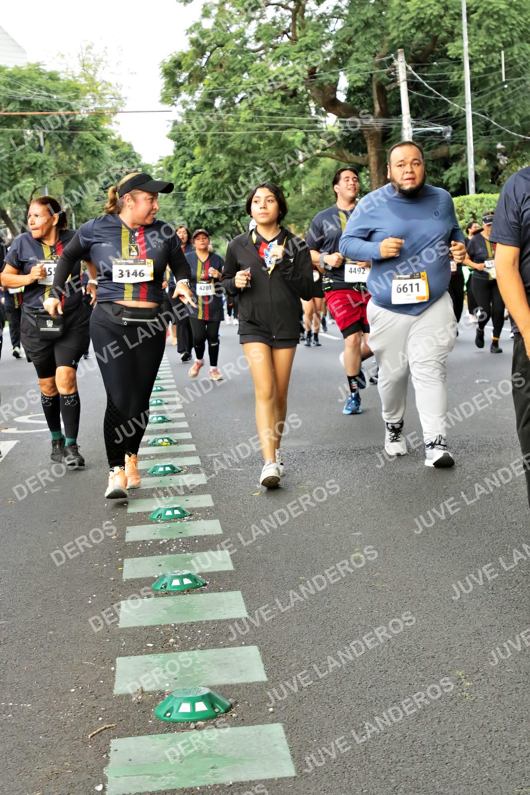 Foto de la X Carrera Leones Negros Red Cola 2026 en Rectoría General de la UdeG, Av. Juárez 976 (meta en Av. Enrique Díaz de León y Pedro Moreno), Guadalajara a las 07:18 · dorsal 6611, 3146, 4492, 4201
