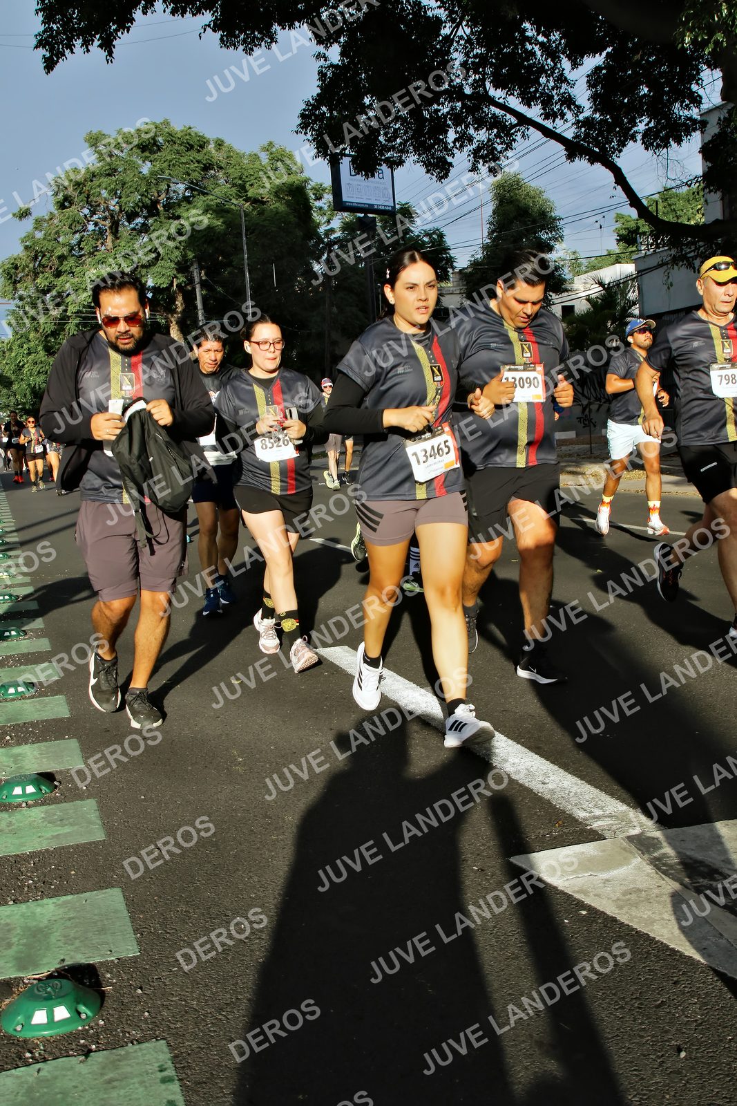 Foto de la X Carrera Leones Negros Red Cola 2026 en Rectoría General de la UdeG, Av. Juárez 976 (meta en Av. Enrique Díaz de León y Pedro Moreno), Guadalajara a las 07:54 · dorsal 798, 3090, 8526, 13465