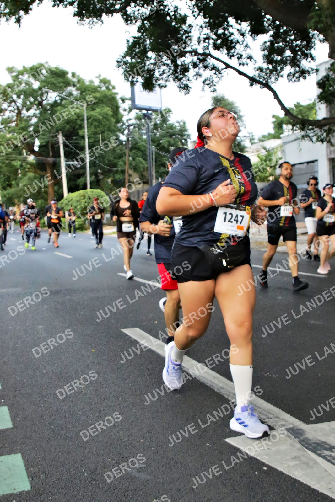 Foto de la X Carrera Leones Negros Red Cola 2026 en Rectoría General de la UdeG, Av. Juárez 976 (meta en Av. Enrique Díaz de León y Pedro Moreno), Guadalajara a las 05:09 · dorsal 1247, 4112, 50