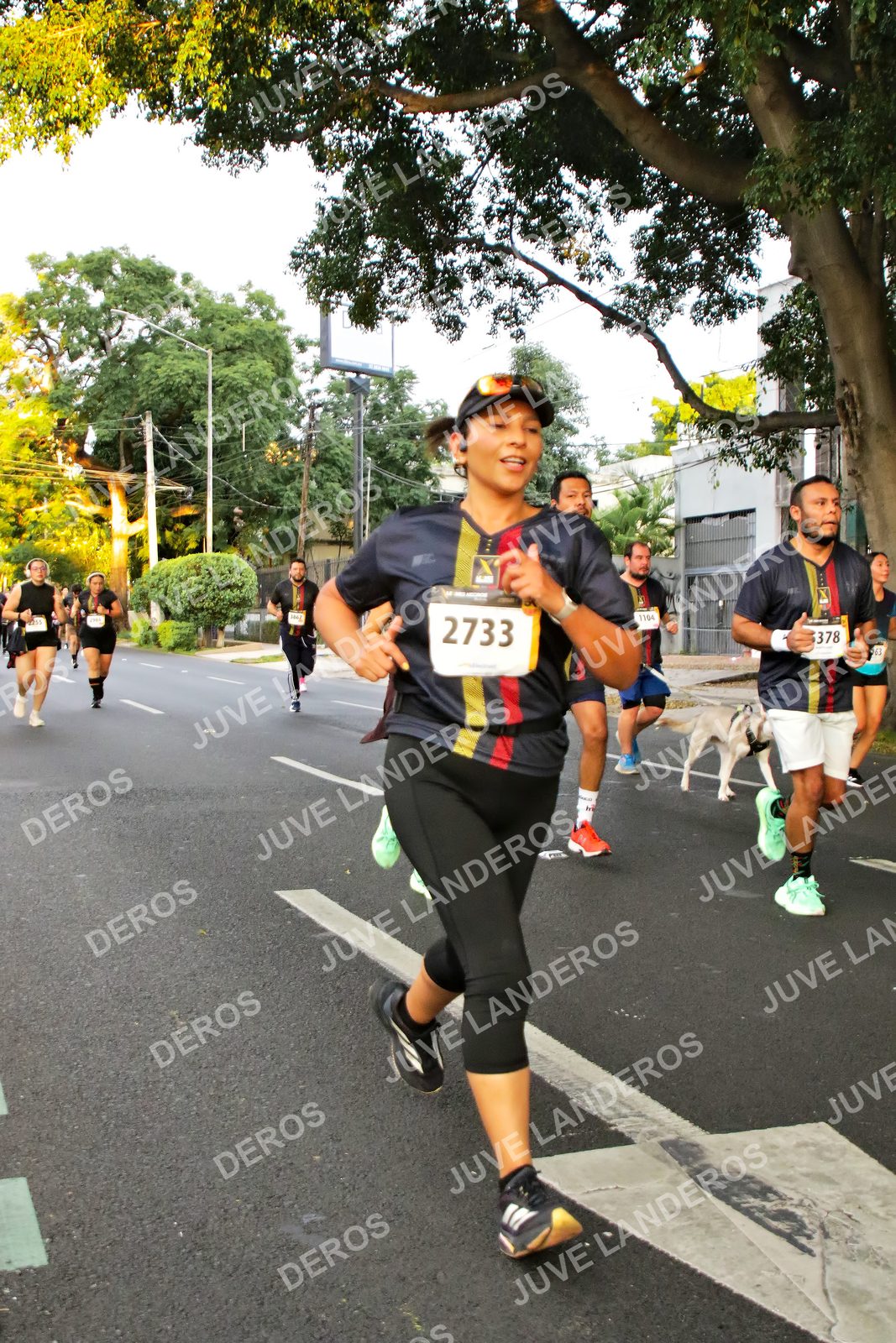Foto de la X Carrera Leones Negros Red Cola 2026 en Rectoría General de la UdeG, Av. Juárez 976 (meta en Av. Enrique Díaz de León y Pedro Moreno), Guadalajara a las 05:02 · dorsal 2733, 378, 1104, 63