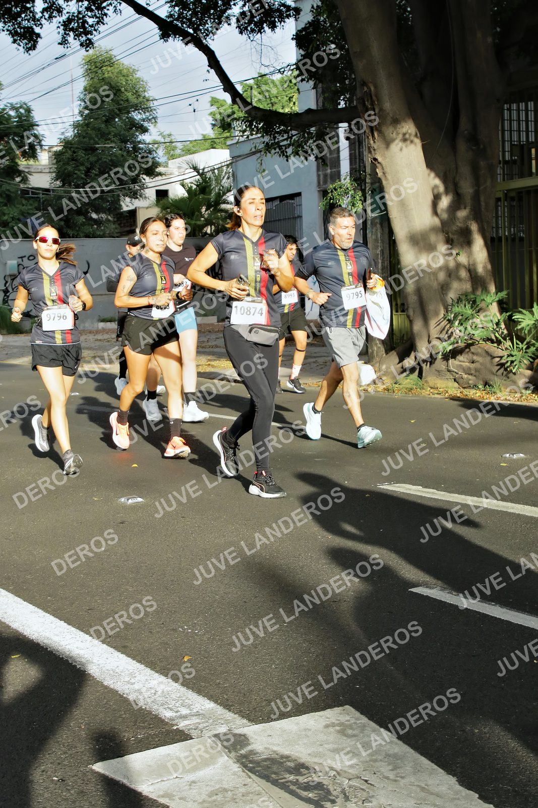 Foto de la X Carrera Leones Negros Red Cola 2026 en Rectoría General de la UdeG, Av. Juárez 976 (meta en Av. Enrique Díaz de León y Pedro Moreno), Guadalajara a las 07:58 · dorsal 9796, 10874, 9795