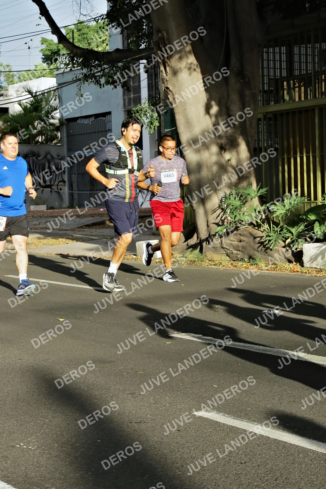 Foto de la X Carrera Leones Negros Red Cola 2026 en Rectoría General de la UdeG, Av. Juárez 976 (meta en Av. Enrique Díaz de León y Pedro Moreno), Guadalajara a las 07:56 · dorsal 9465