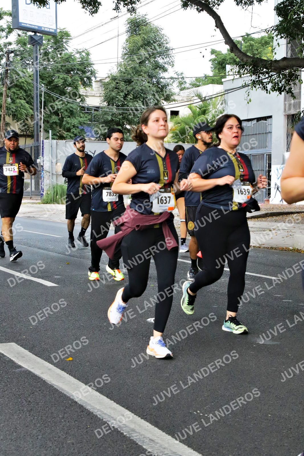 Foto de la X Carrera Leones Negros Red Cola 2026 en Rectoría General de la UdeG, Av. Juárez 976 (meta en Av. Enrique Díaz de León y Pedro Moreno), Guadalajara a las 05:11 · dorsal 1637, 1639, 7425