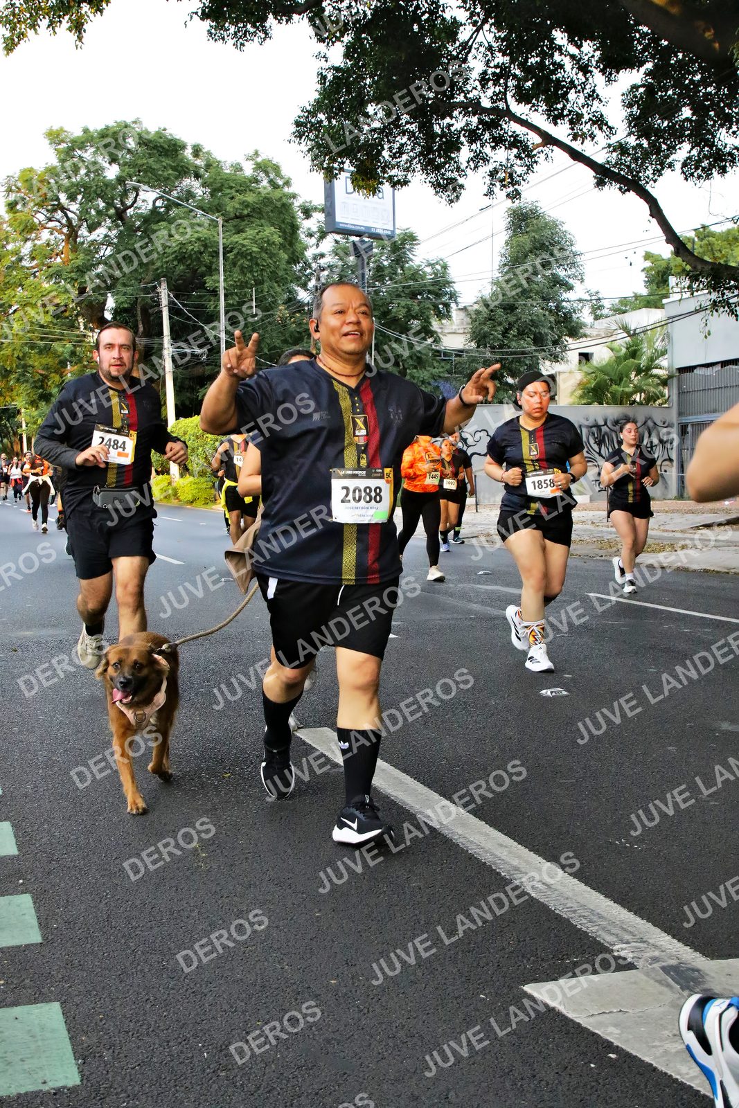 Foto de la X Carrera Leones Negros Red Cola 2026 en Rectoría General de la UdeG, Av. Juárez 976 (meta en Av. Enrique Díaz de León y Pedro Moreno), Guadalajara a las 05:07 · dorsal 2088, 2484, 1858