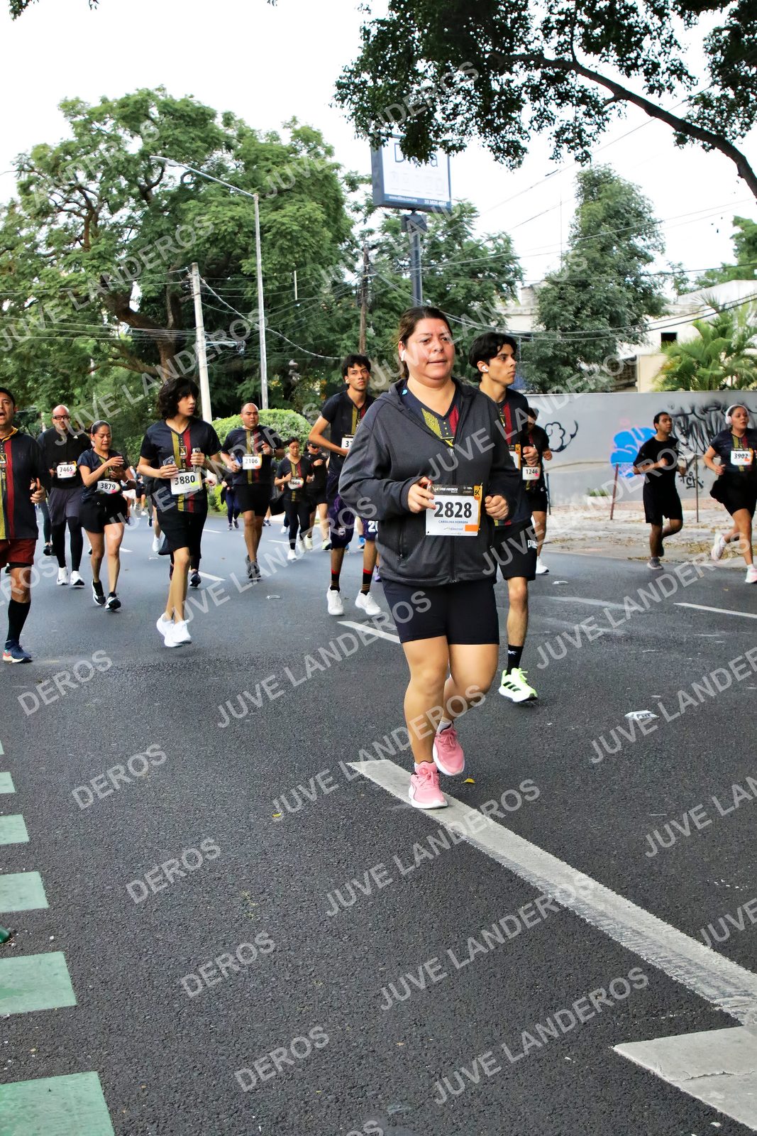 Foto de la X Carrera Leones Negros Red Cola 2026 en Rectoría General de la UdeG, Av. Juárez 976 (meta en Av. Enrique Díaz de León y Pedro Moreno), Guadalajara a las 05:09 · dorsal 2828, 3880, 3879, 1244