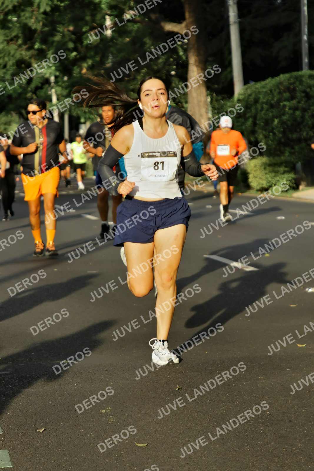 Foto de la X Carrera Leones Negros Red Cola 2026 en Rectoría General de la UdeG, Av. Juárez 976 (meta en Av. Enrique Díaz de León y Pedro Moreno), Guadalajara a las 07:36 · dorsal 81