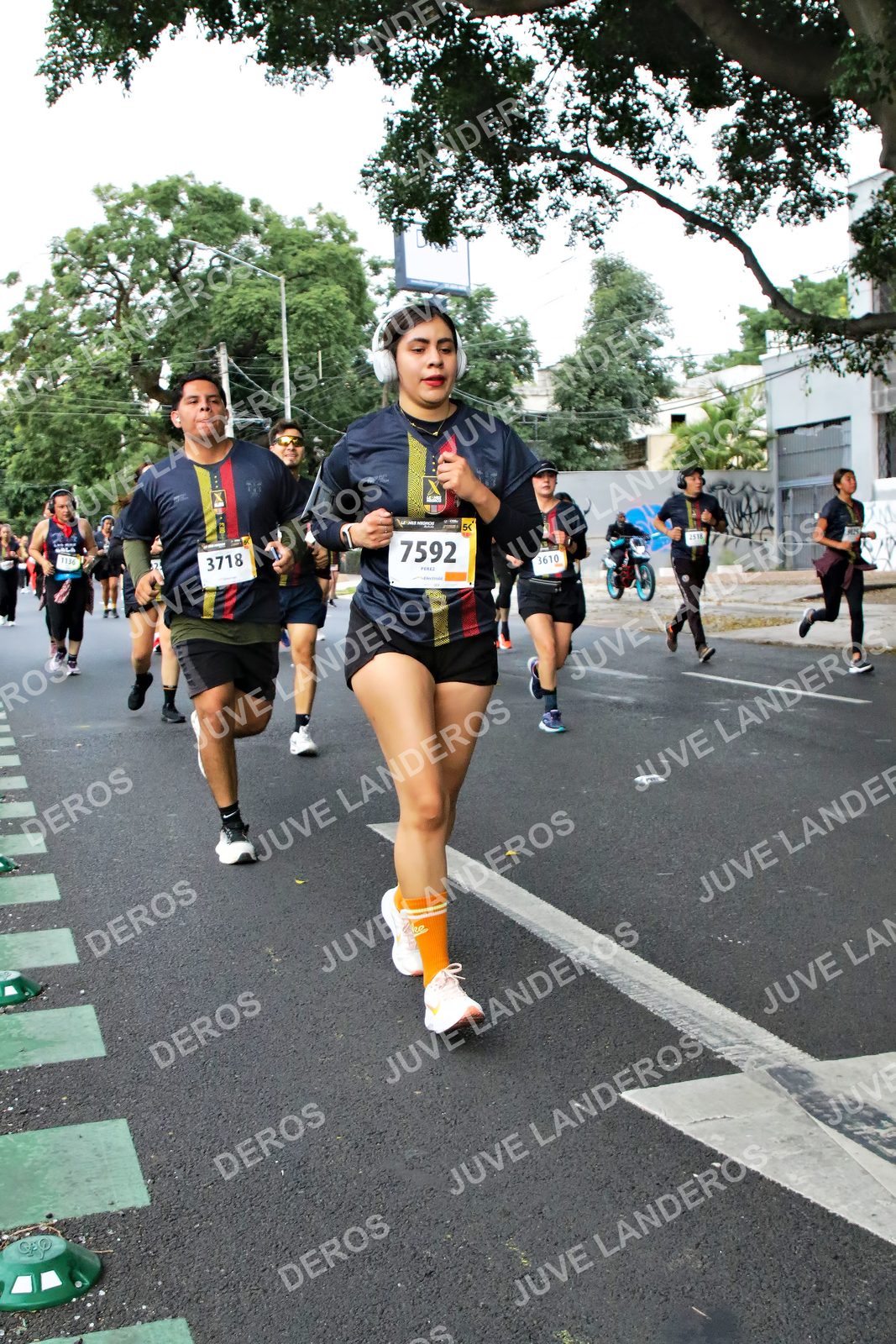 Foto de la X Carrera Leones Negros Red Cola 2026 en Rectoría General de la UdeG, Av. Juárez 976 (meta en Av. Enrique Díaz de León y Pedro Moreno), Guadalajara a las 05:11 · dorsal 7592, 3718, 3610
