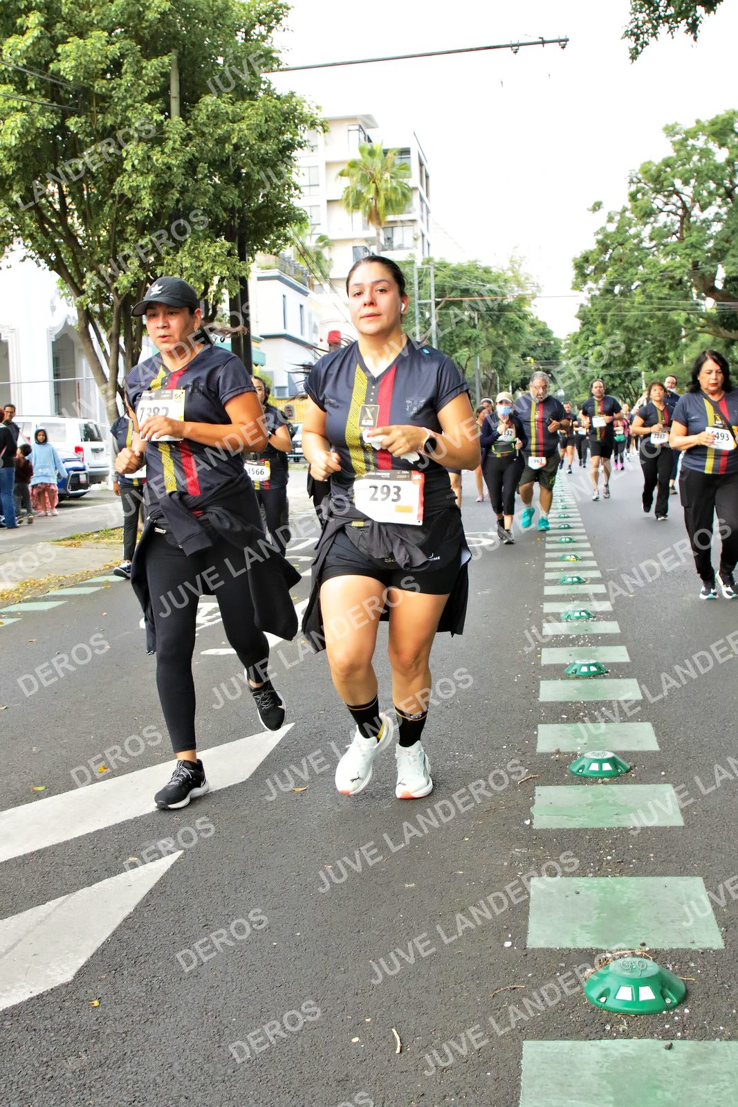 Foto de la X Carrera Leones Negros Red Cola 2026 en Rectoría General de la UdeG, Av. Juárez 976 (meta en Av. Enrique Díaz de León y Pedro Moreno), Guadalajara a las 07:18 · dorsal 293, 7382, 493, 1566