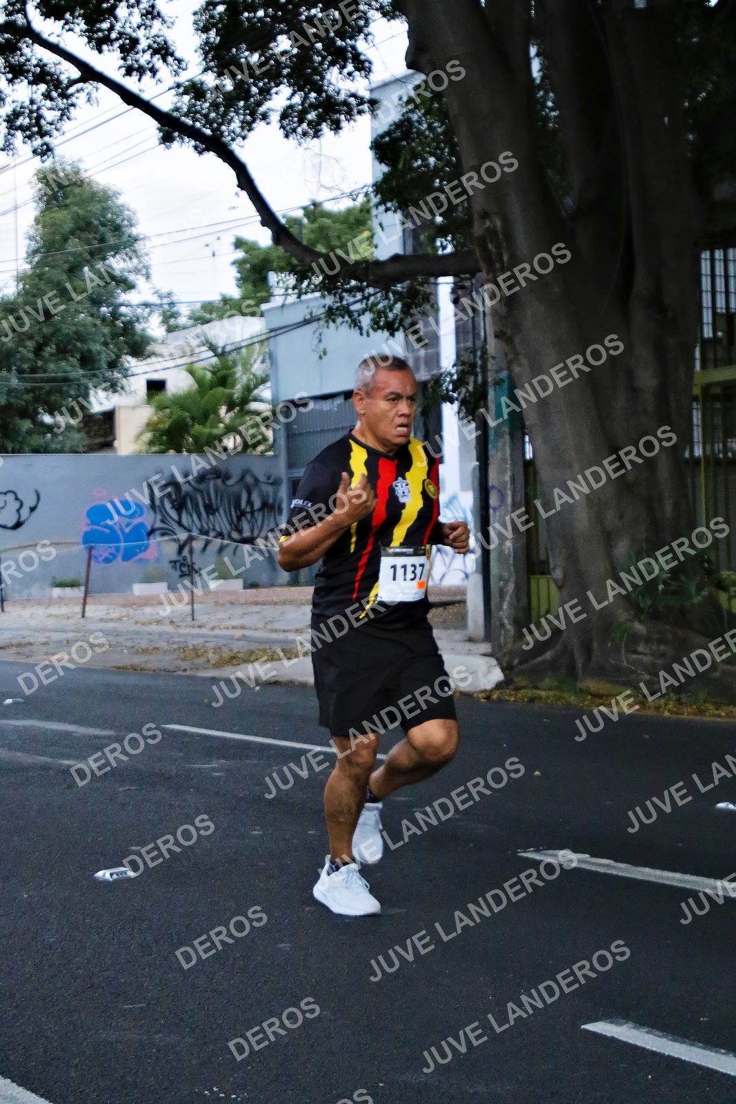 Foto de la X Carrera Leones Negros Red Cola 2026 en Rectoría General de la UdeG, Av. Juárez 976 (meta en Av. Enrique Díaz de León y Pedro Moreno), Guadalajara a las 04:55 · dorsal 1137