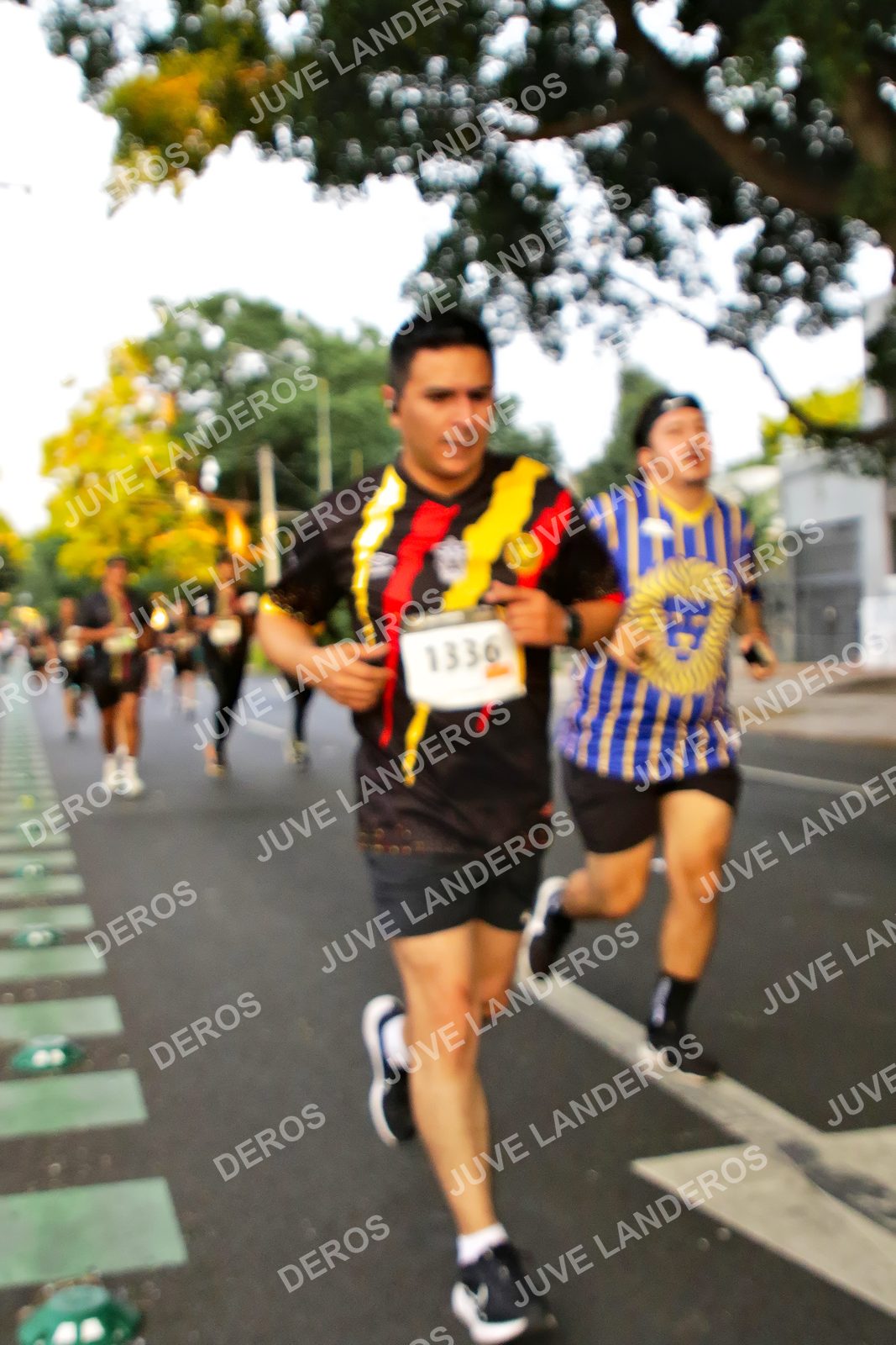 Foto de la X Carrera Leones Negros Red Cola 2026 en Rectoría General de la UdeG, Av. Juárez 976 (meta en Av. Enrique Díaz de León y Pedro Moreno), Guadalajara a las 05:01 · dorsal 1336
