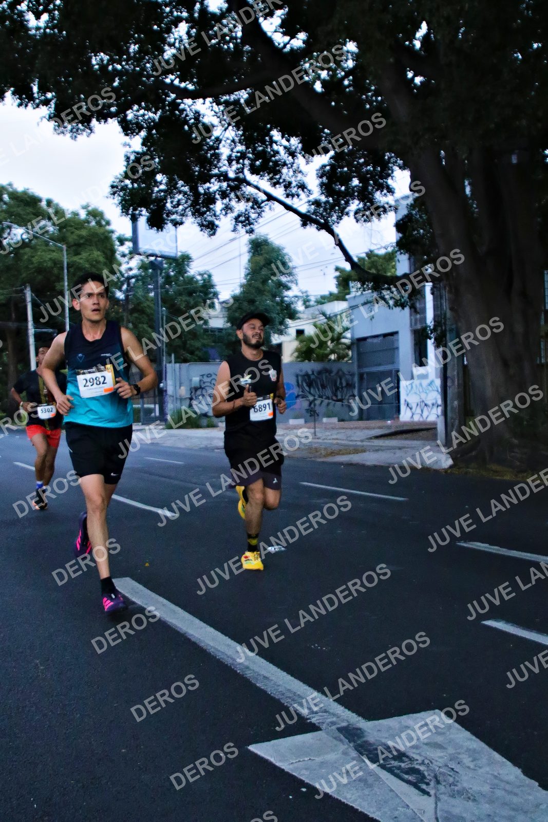 Foto de la X Carrera Leones Negros Red Cola 2026 en Rectoría General de la UdeG, Av. Juárez 976 (meta en Av. Enrique Díaz de León y Pedro Moreno), Guadalajara a las 04:53 · dorsal 2982, 6891, 5302