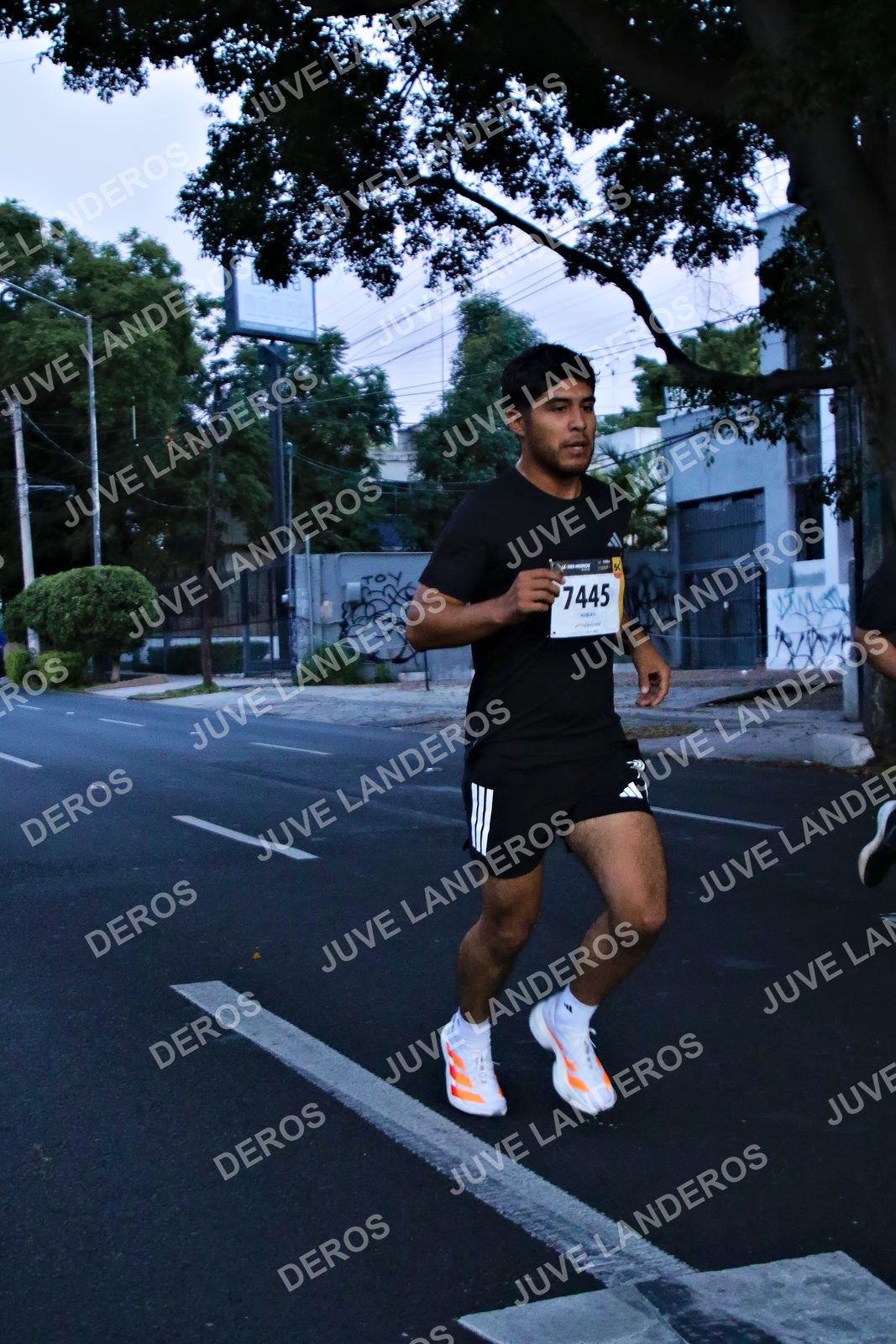 Foto de la X Carrera Leones Negros Red Cola 2026 en Rectoría General de la UdeG, Av. Juárez 976 (meta en Av. Enrique Díaz de León y Pedro Moreno), Guadalajara a las 04:51 · dorsal 7445
