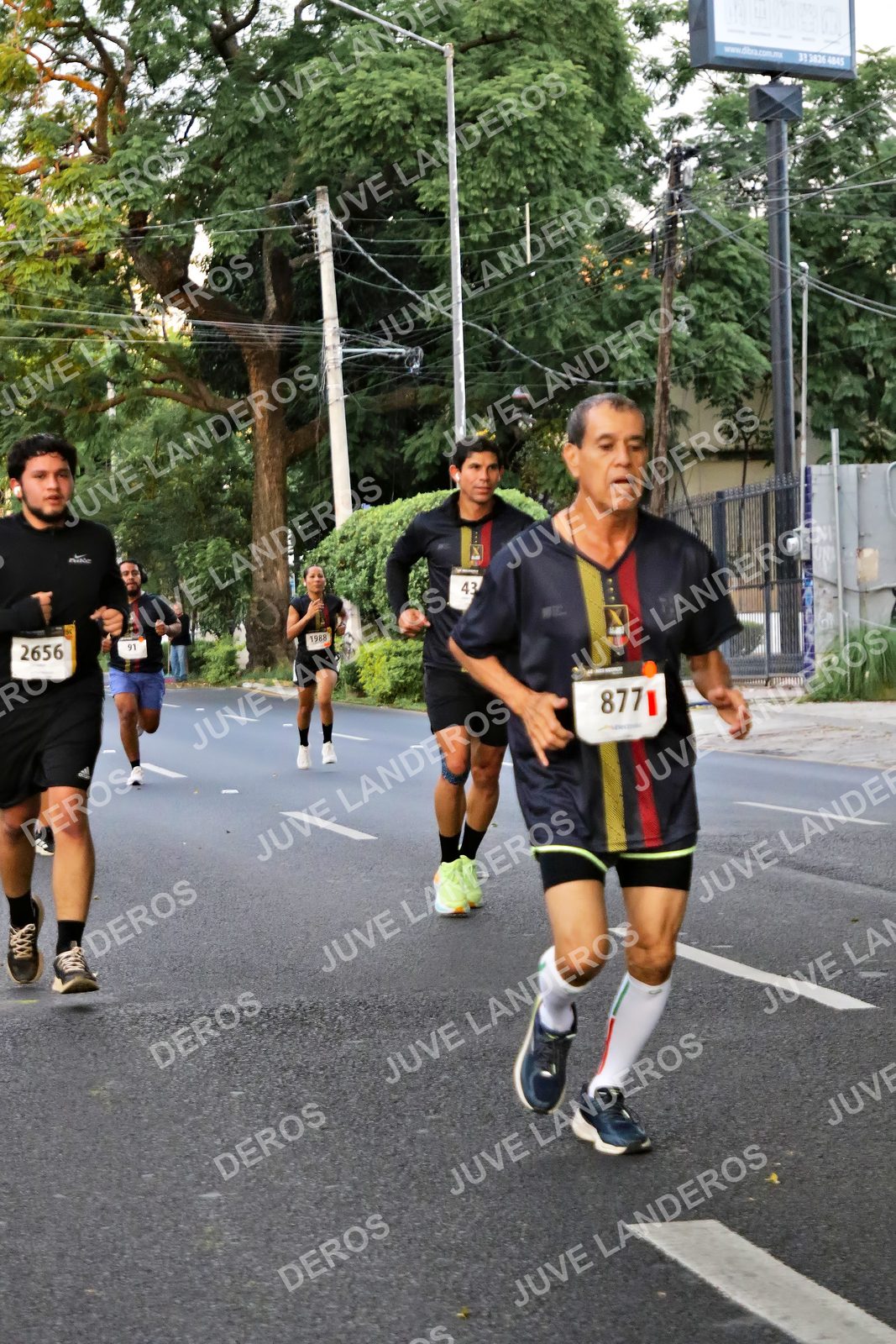 Foto de la X Carrera Leones Negros Red Cola 2026 en Rectoría General de la UdeG, Av. Juárez 976 (meta en Av. Enrique Díaz de León y Pedro Moreno), Guadalajara a las 04:58 · dorsal 2656, 43, 877, 91