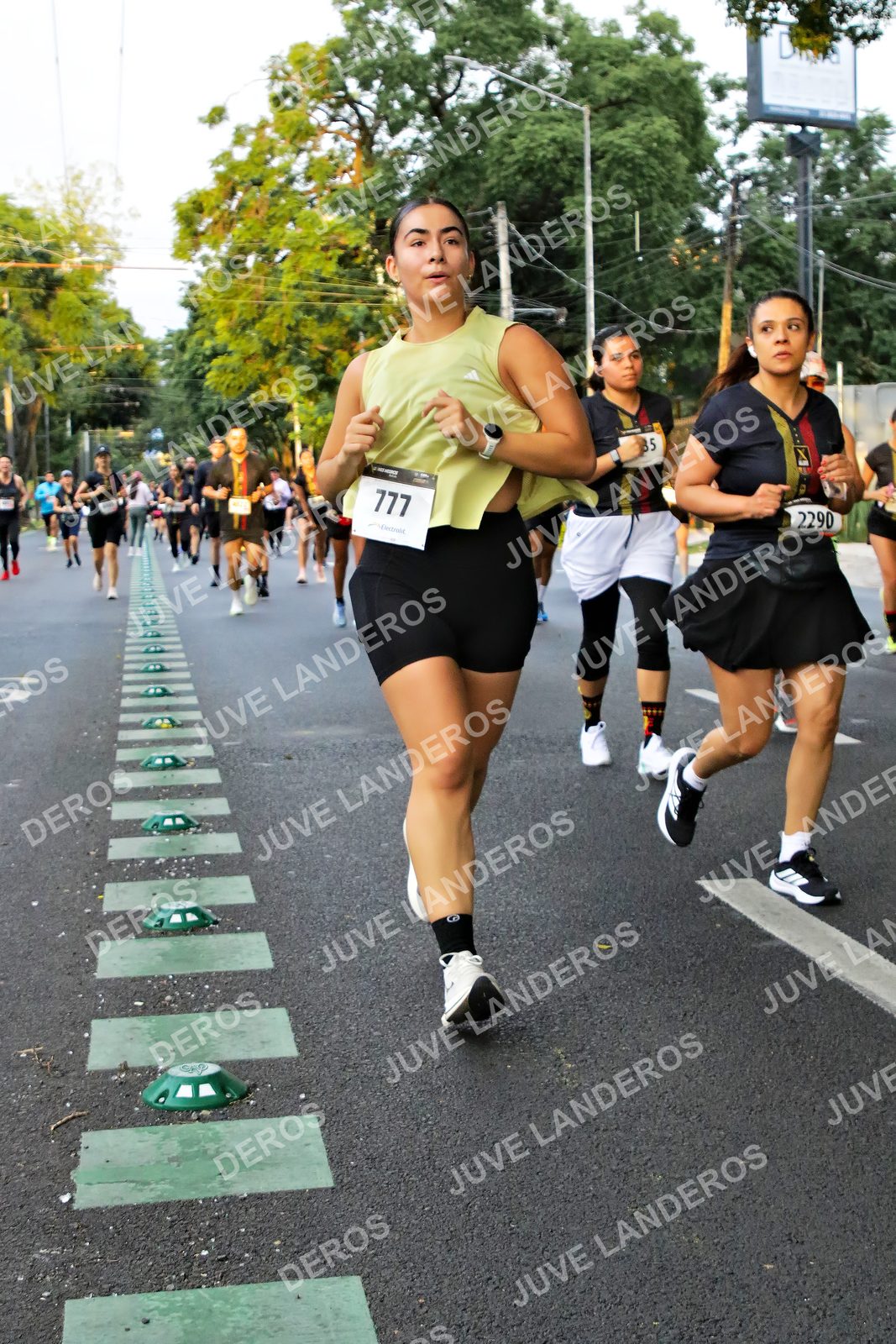 Foto de la X Carrera Leones Negros Red Cola 2026 en Rectoría General de la UdeG, Av. Juárez 976 (meta en Av. Enrique Díaz de León y Pedro Moreno), Guadalajara a las 05:07 · dorsal 2290, 777