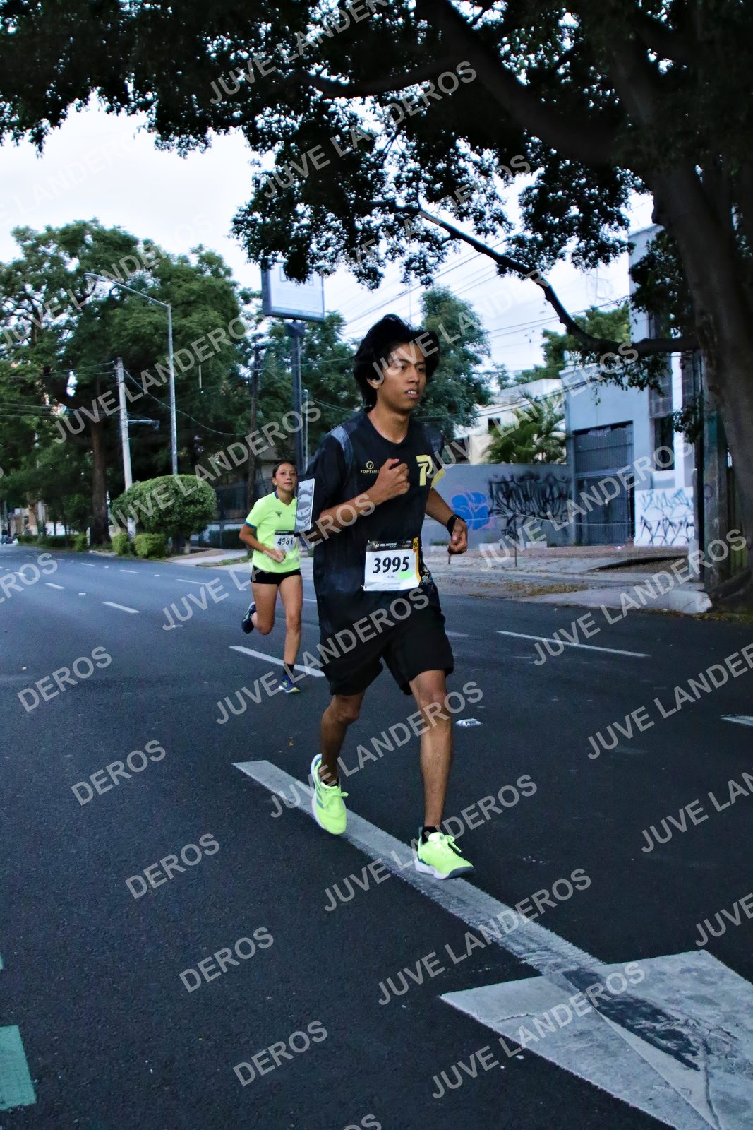 Foto de la X Carrera Leones Negros Red Cola 2026 en Rectoría General de la UdeG, Av. Juárez 976 (meta en Av. Enrique Díaz de León y Pedro Moreno), Guadalajara a las 04:54 · dorsal 3995, 4981