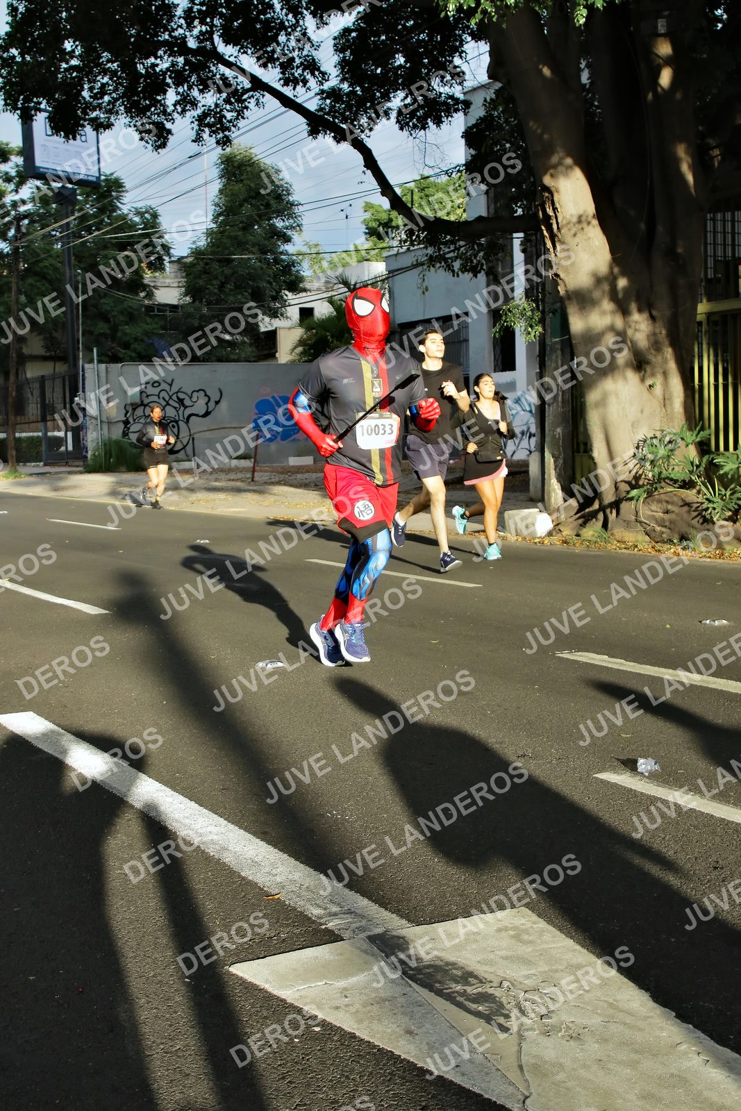 Foto de la X Carrera Leones Negros Red Cola 2026 en Rectoría General de la UdeG, Av. Juárez 976 (meta en Av. Enrique Díaz de León y Pedro Moreno), Guadalajara a las 07:43 · dorsal 10033