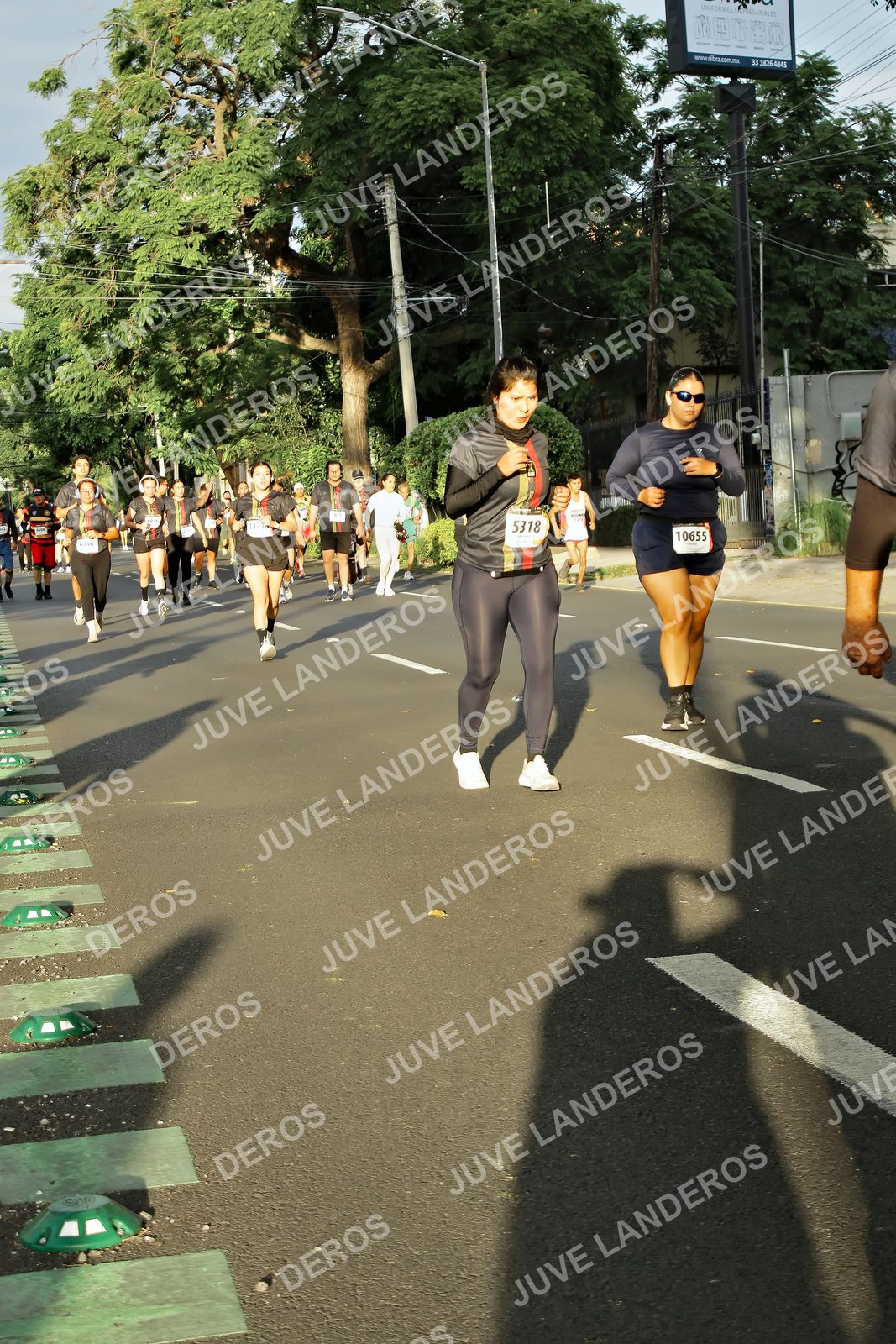 Foto de la X Carrera Leones Negros Red Cola 2026 en Rectoría General de la UdeG, Av. Juárez 976 (meta en Av. Enrique Díaz de León y Pedro Moreno), Guadalajara a las 07:29 · dorsal 5318, 10655