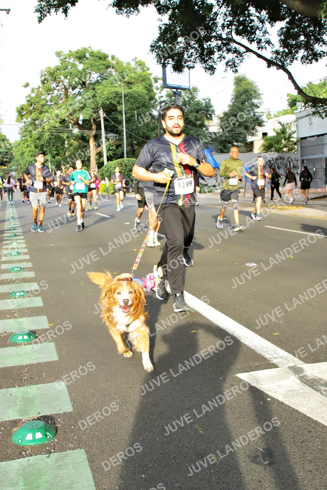 Foto de la X Carrera Leones Negros Red Cola 2026 en Rectoría General de la UdeG, Av. Juárez 976 (meta en Av. Enrique Díaz de León y Pedro Moreno), Guadalajara a las 08:02 · dorsal 9299