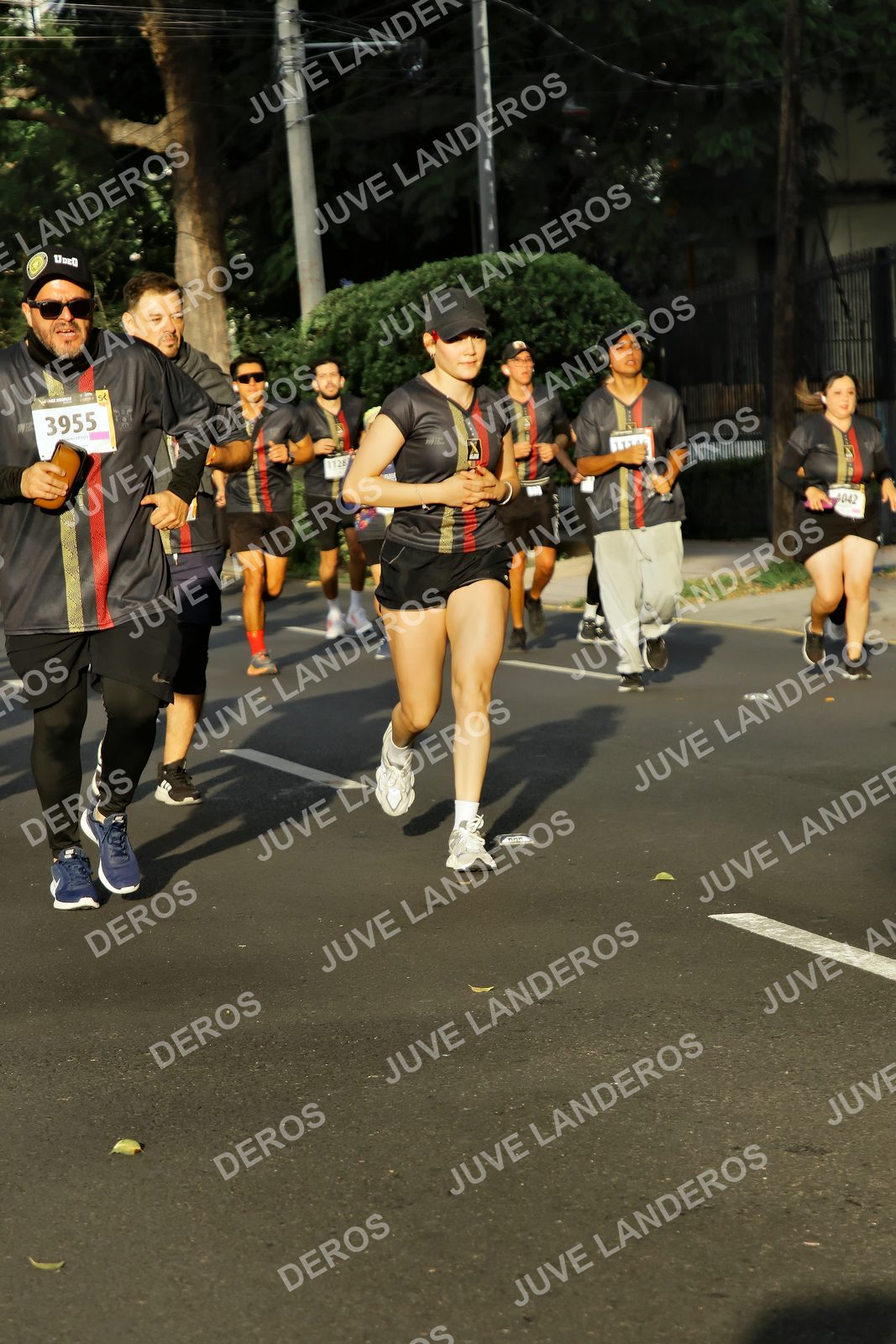 Foto de la X Carrera Leones Negros Red Cola 2026 en Rectoría General de la UdeG, Av. Juárez 976 (meta en Av. Enrique Díaz de León y Pedro Moreno), Guadalajara a las 07:36 · dorsal 3955
