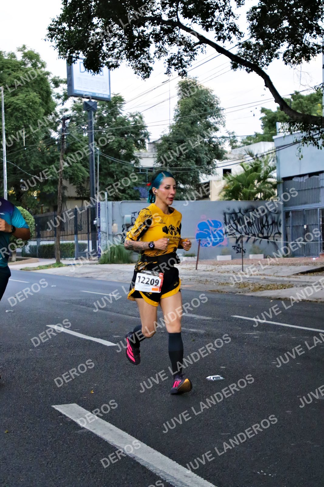 Foto de la X Carrera Leones Negros Red Cola 2026 en Rectoría General de la UdeG, Av. Juárez 976 (meta en Av. Enrique Díaz de León y Pedro Moreno), Guadalajara a las 04:56 · dorsal 12209