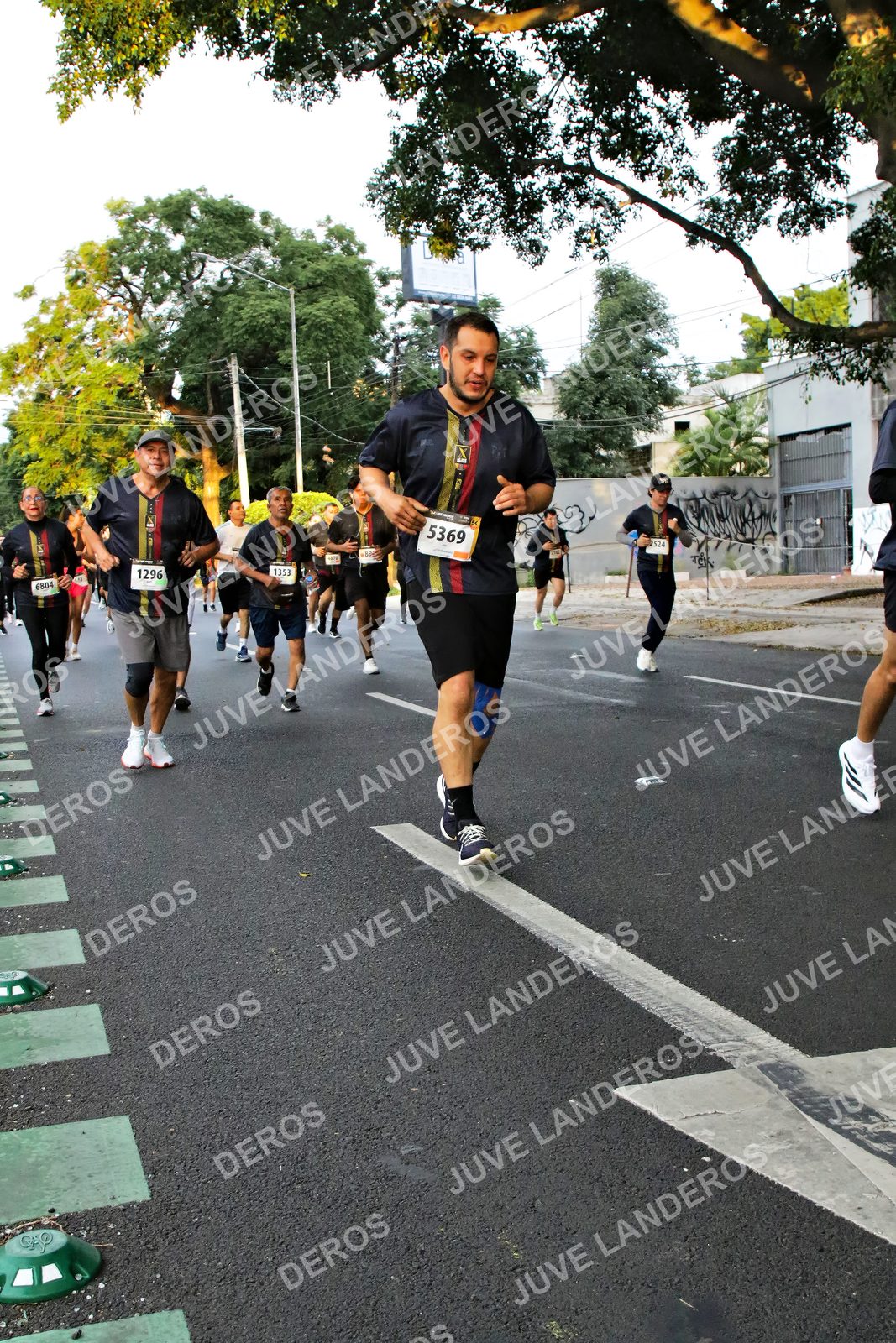 Foto de la X Carrera Leones Negros Red Cola 2026 en Rectoría General de la UdeG, Av. Juárez 976 (meta en Av. Enrique Díaz de León y Pedro Moreno), Guadalajara a las 05:06 · dorsal 1296, 5369, 6804, 1353
