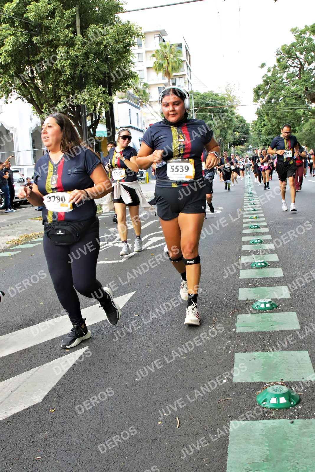 Foto de la X Carrera Leones Negros Red Cola 2026 en Rectoría General de la UdeG, Av. Juárez 976 (meta en Av. Enrique Díaz de León y Pedro Moreno), Guadalajara a las 07:16 · dorsal 5539, 3790, 1135, 4571