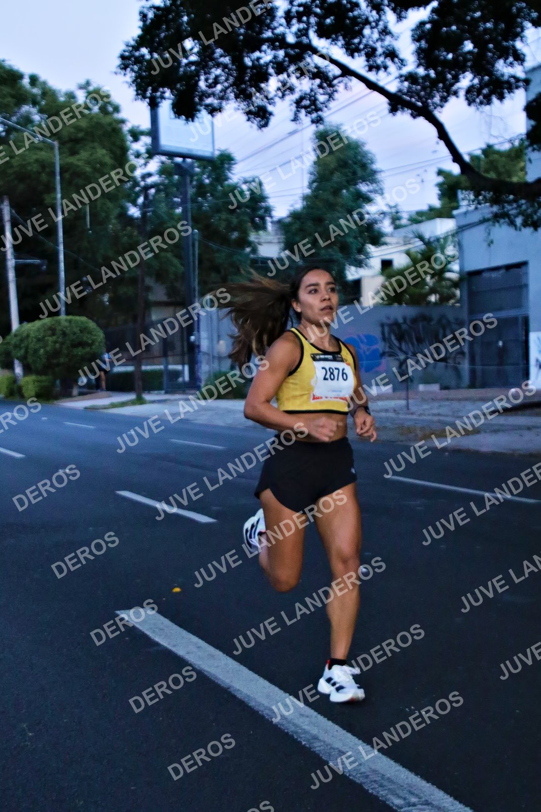 Foto de la X Carrera Leones Negros Red Cola 2026 en Rectoría General de la UdeG, Av. Juárez 976 (meta en Av. Enrique Díaz de León y Pedro Moreno), Guadalajara a las 04:50 · dorsal 2876