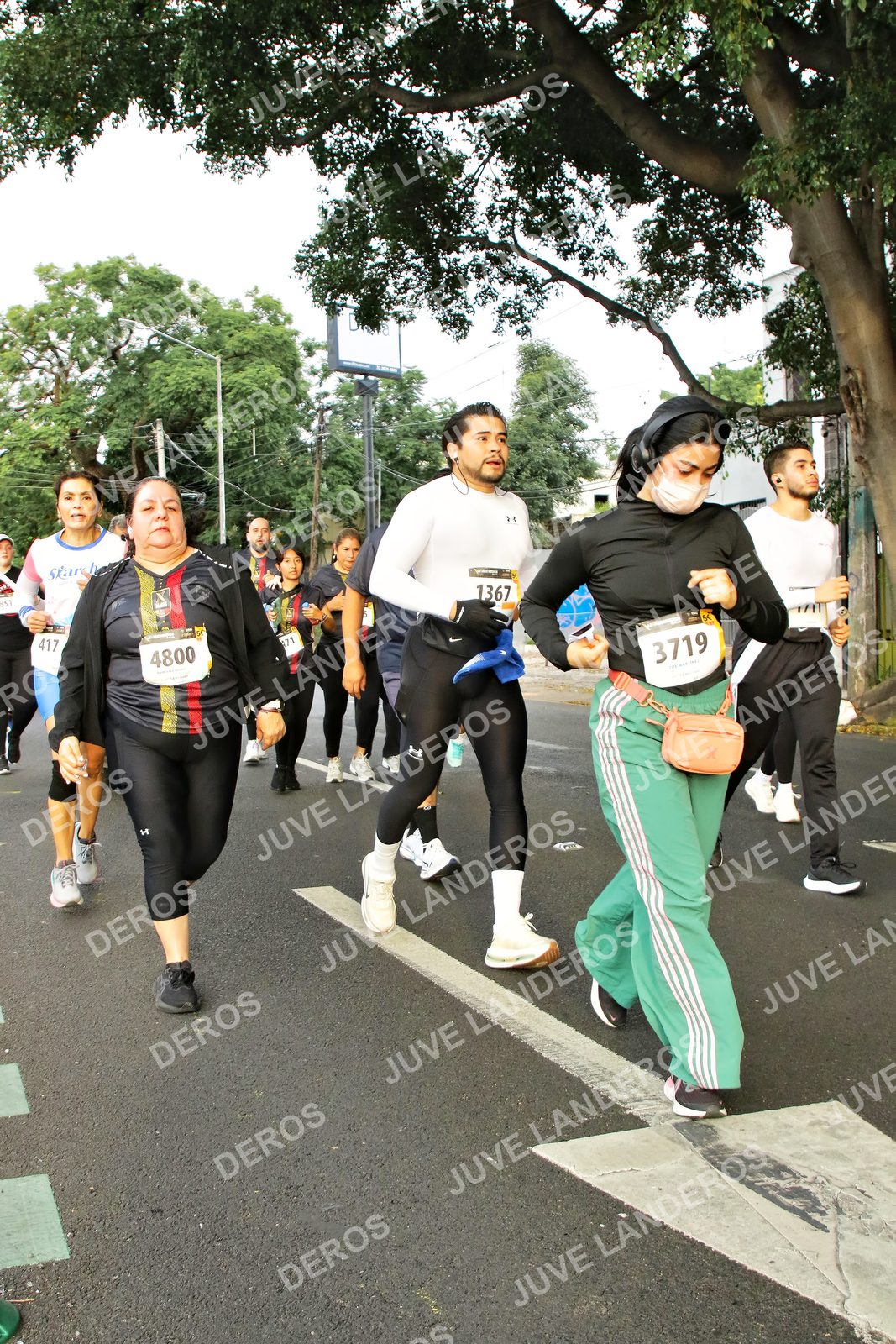 Foto de la X Carrera Leones Negros Red Cola 2026 en Rectoría General de la UdeG, Av. Juárez 976 (meta en Av. Enrique Díaz de León y Pedro Moreno), Guadalajara a las 07:21 · dorsal 3719, 4800, 1367, 417