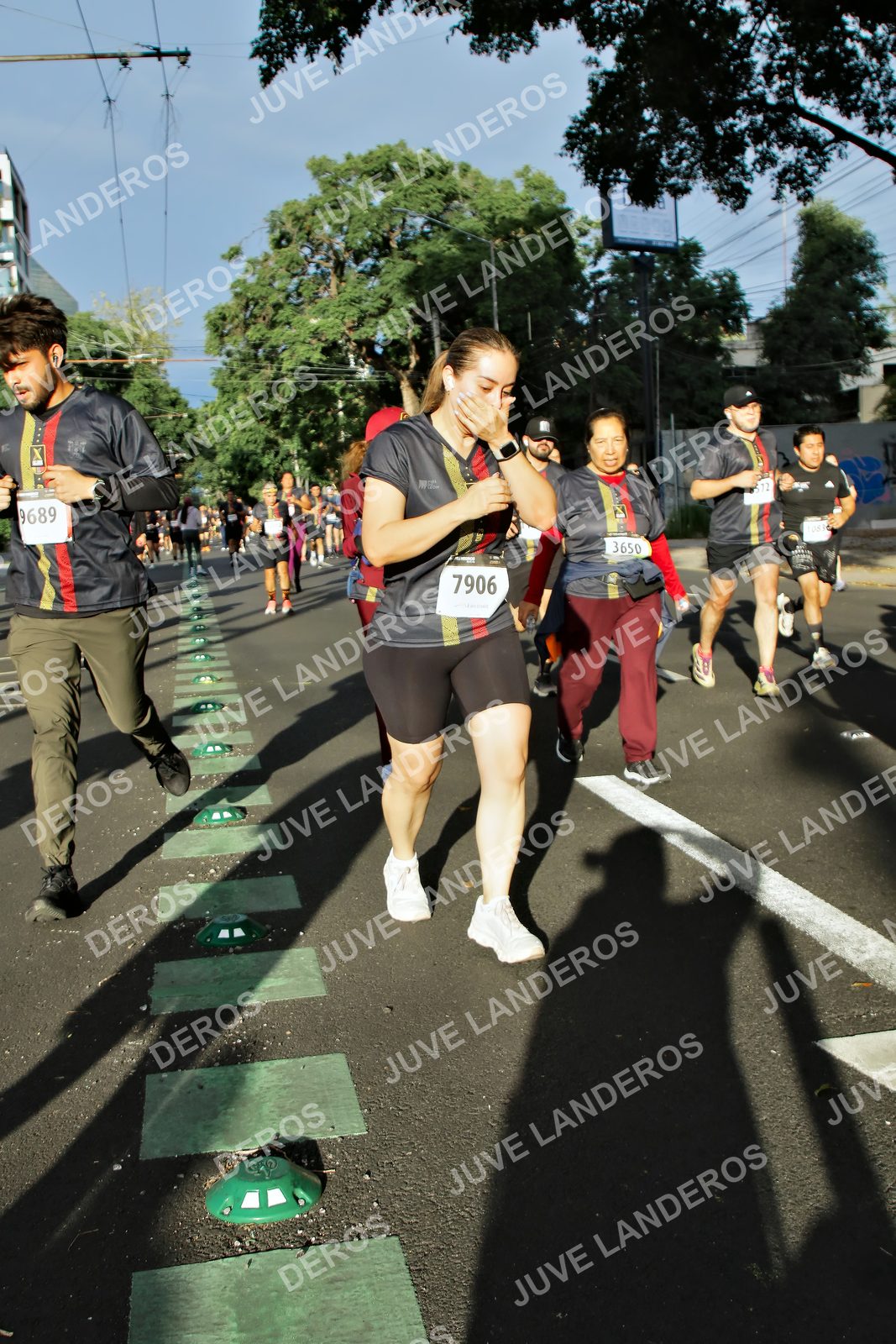 Foto de la X Carrera Leones Negros Red Cola 2026 en Rectoría General de la UdeG, Av. Juárez 976 (meta en Av. Enrique Díaz de León y Pedro Moreno), Guadalajara a las 07:49 · dorsal 7906, 9689, 3650