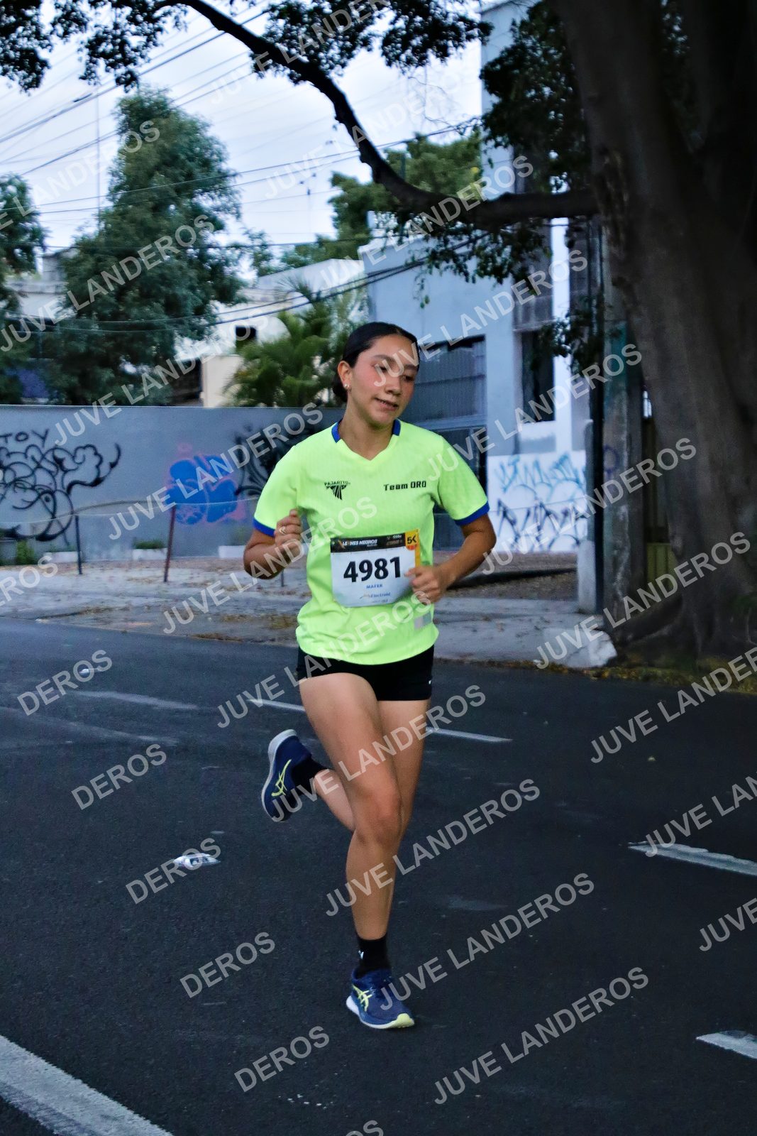 Foto de la X Carrera Leones Negros Red Cola 2026 en Rectoría General de la UdeG, Av. Juárez 976 (meta en Av. Enrique Díaz de León y Pedro Moreno), Guadalajara a las 04:54 · dorsal 4981