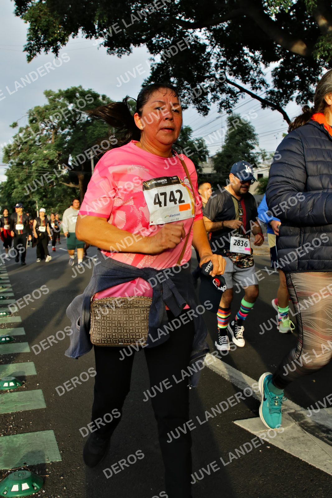 Foto de la X Carrera Leones Negros Red Cola 2026 en Rectoría General de la UdeG, Av. Juárez 976 (meta en Av. Enrique Díaz de León y Pedro Moreno), Guadalajara a las 07:23 · dorsal 4742, 2836