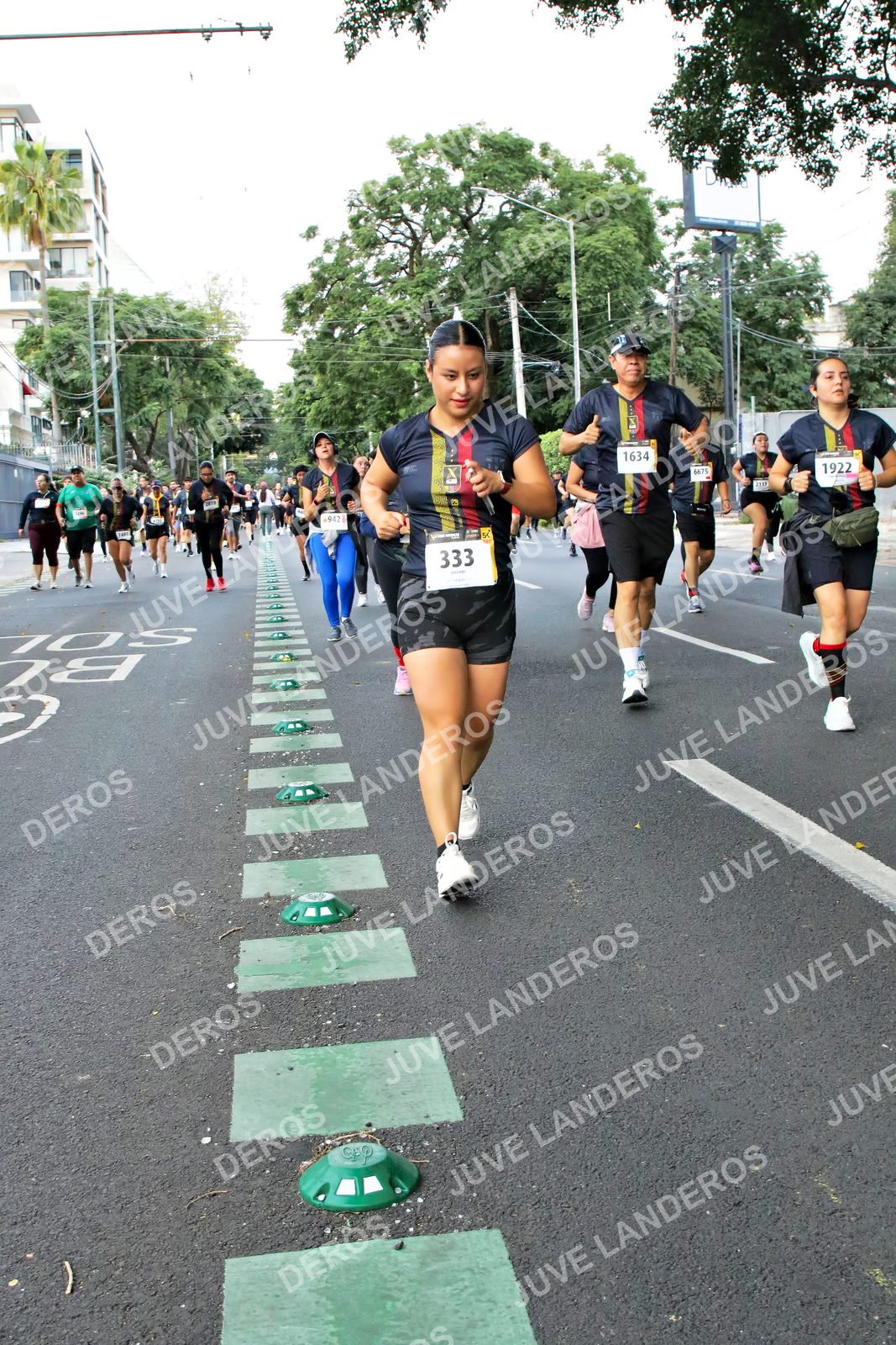 Foto de la X Carrera Leones Negros Red Cola 2026 en Rectoría General de la UdeG, Av. Juárez 976 (meta en Av. Enrique Díaz de León y Pedro Moreno), Guadalajara a las 05:13 · dorsal 333, 1922, 1634, 6675