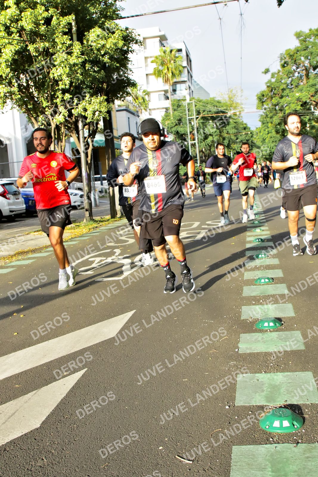 Foto de la X Carrera Leones Negros Red Cola 2026 en Rectoría General de la UdeG, Av. Juárez 976 (meta en Av. Enrique Díaz de León y Pedro Moreno), Guadalajara a las 07:58 · dorsal 87