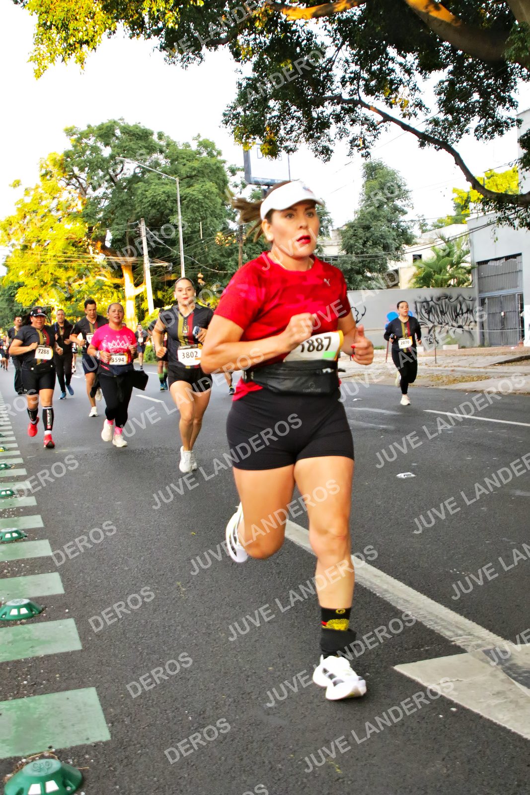 Foto de la X Carrera Leones Negros Red Cola 2026 en Rectoría General de la UdeG, Av. Juárez 976 (meta en Av. Enrique Díaz de León y Pedro Moreno), Guadalajara a las 05:03 · dorsal 7288, 3802, 1887, 3594