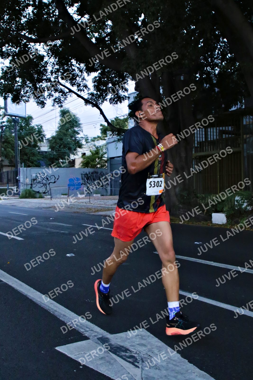 Foto de la X Carrera Leones Negros Red Cola 2026 en Rectoría General de la UdeG, Av. Juárez 976 (meta en Av. Enrique Díaz de León y Pedro Moreno), Guadalajara a las 04:53 · dorsal 5302