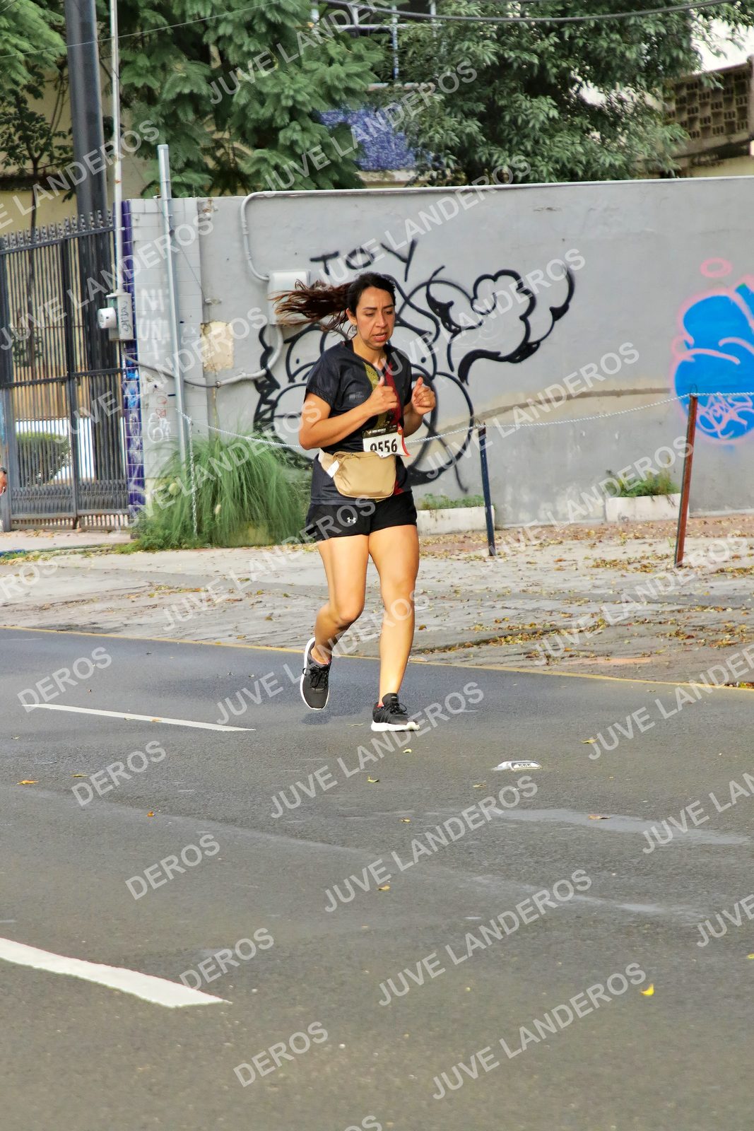 Foto de la X Carrera Leones Negros Red Cola 2026 en Rectoría General de la UdeG, Av. Juárez 976 (meta en Av. Enrique Díaz de León y Pedro Moreno), Guadalajara a las 08:10 · dorsal 556