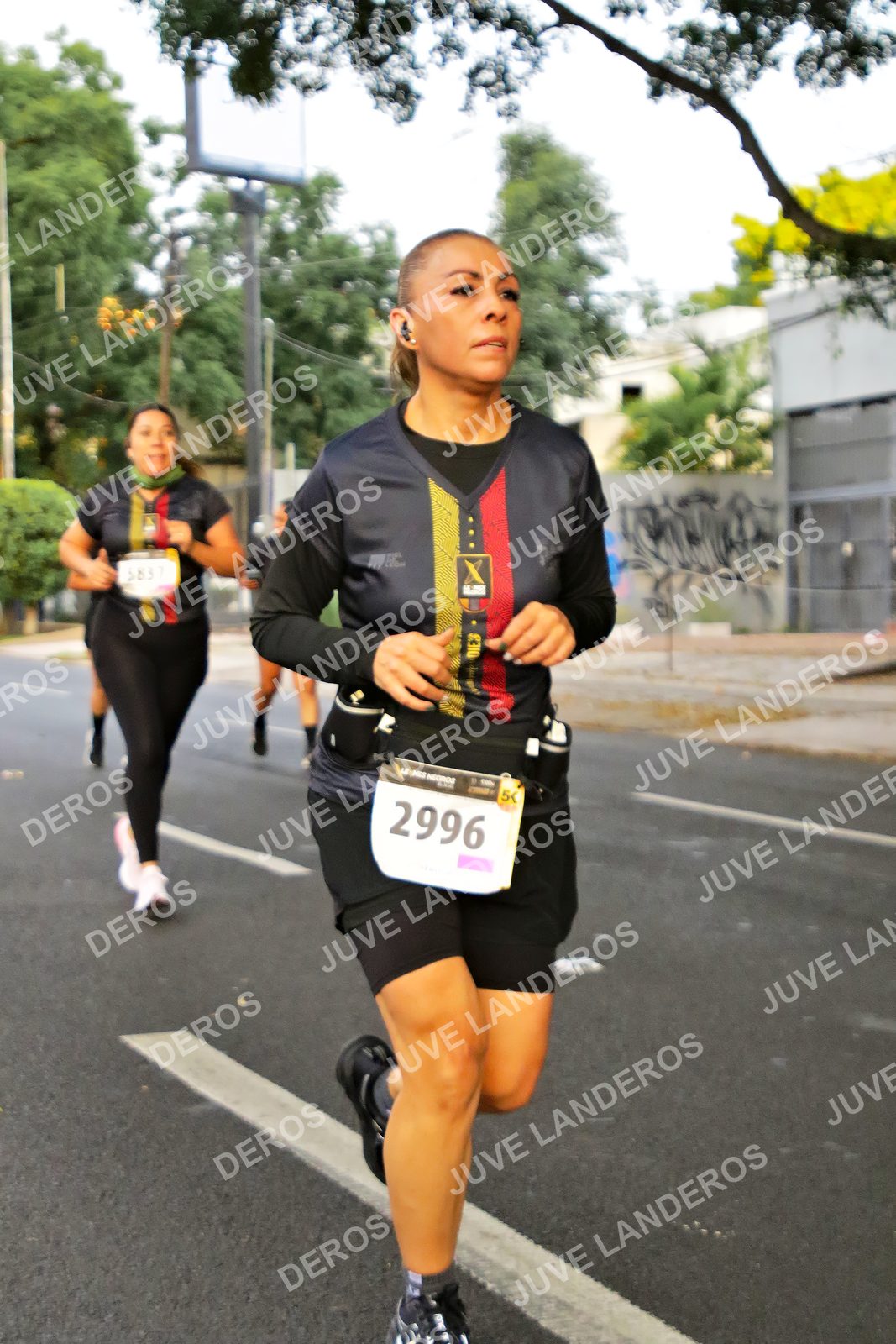 Foto de la X Carrera Leones Negros Red Cola 2026 en Rectoría General de la UdeG, Av. Juárez 976 (meta en Av. Enrique Díaz de León y Pedro Moreno), Guadalajara a las 05:01 · dorsal 2996