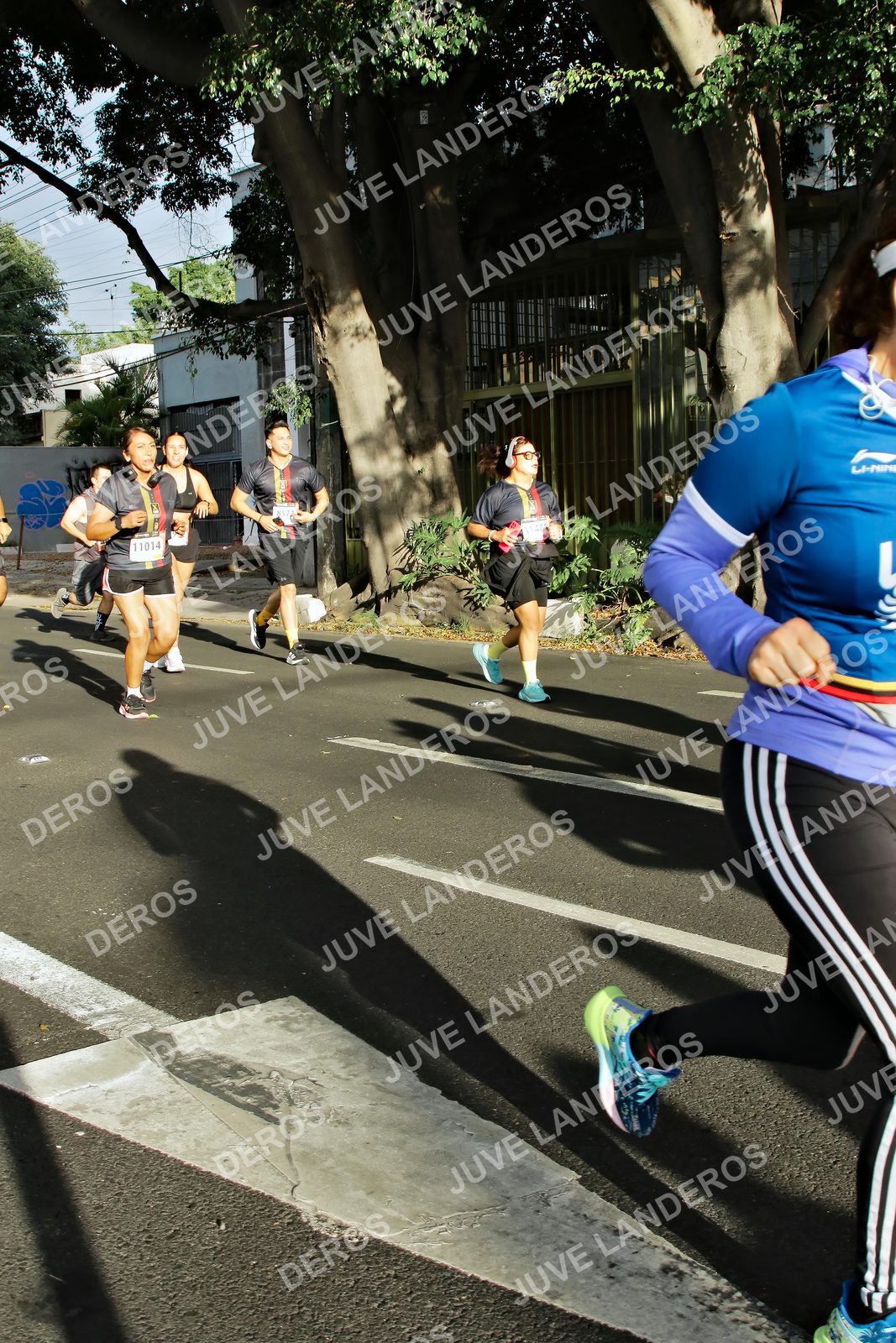 Foto de la X Carrera Leones Negros Red Cola 2026 en Rectoría General de la UdeG, Av. Juárez 976 (meta en Av. Enrique Díaz de León y Pedro Moreno), Guadalajara a las 07:56 · dorsal 11014