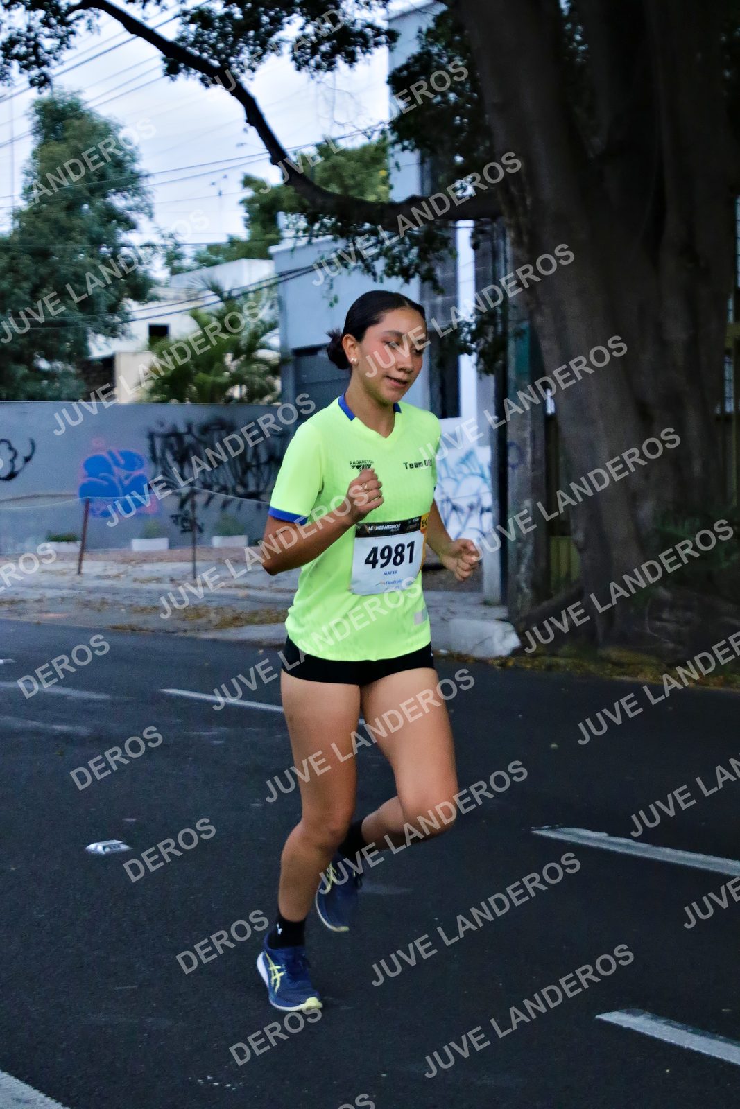 Foto de la X Carrera Leones Negros Red Cola 2026 en Rectoría General de la UdeG, Av. Juárez 976 (meta en Av. Enrique Díaz de León y Pedro Moreno), Guadalajara a las 04:54 · dorsal 4981