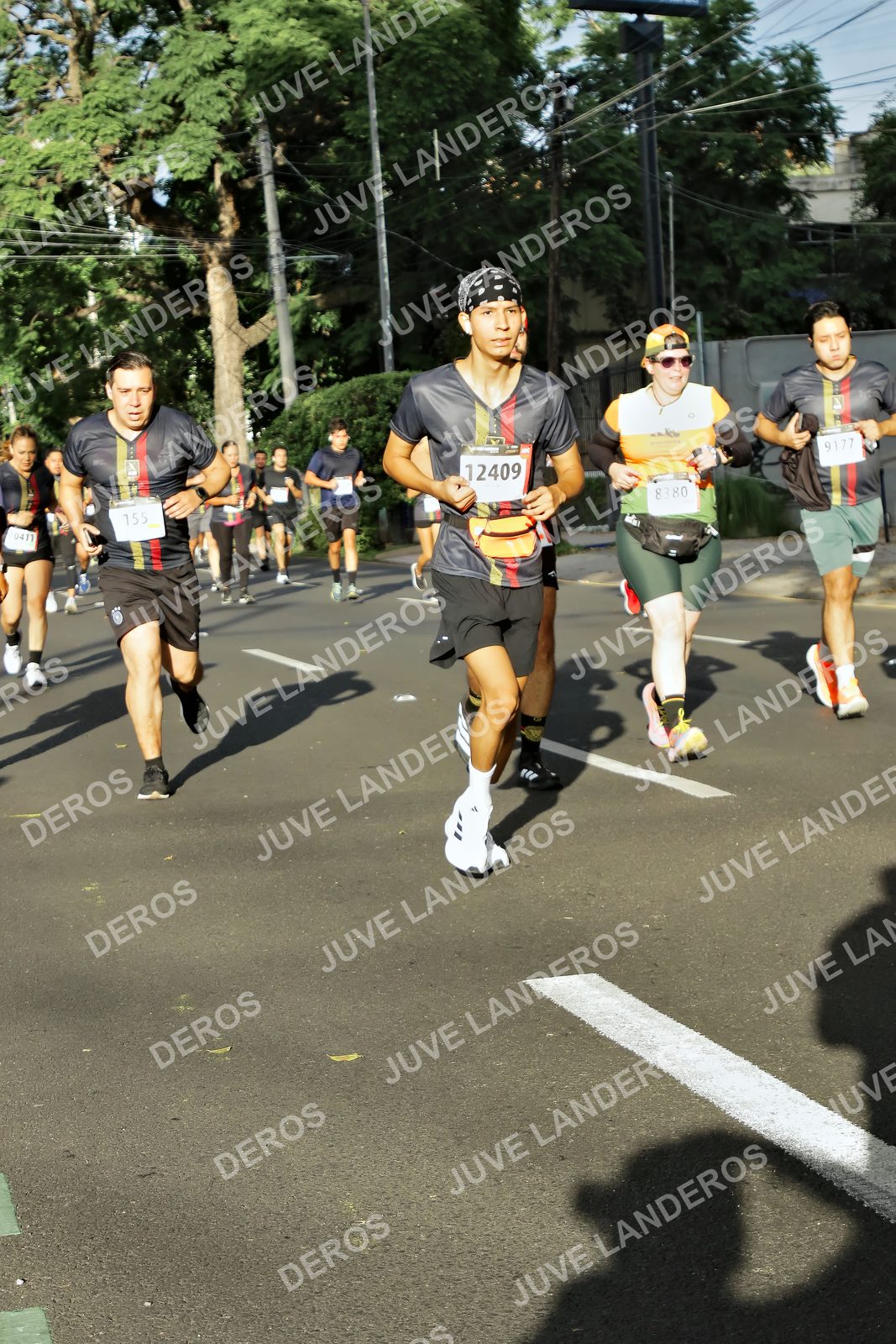 Foto de la X Carrera Leones Negros Red Cola 2026 en Rectoría General de la UdeG, Av. Juárez 976 (meta en Av. Enrique Díaz de León y Pedro Moreno), Guadalajara a las 07:55 · dorsal 12409, 155, 9177, 8380