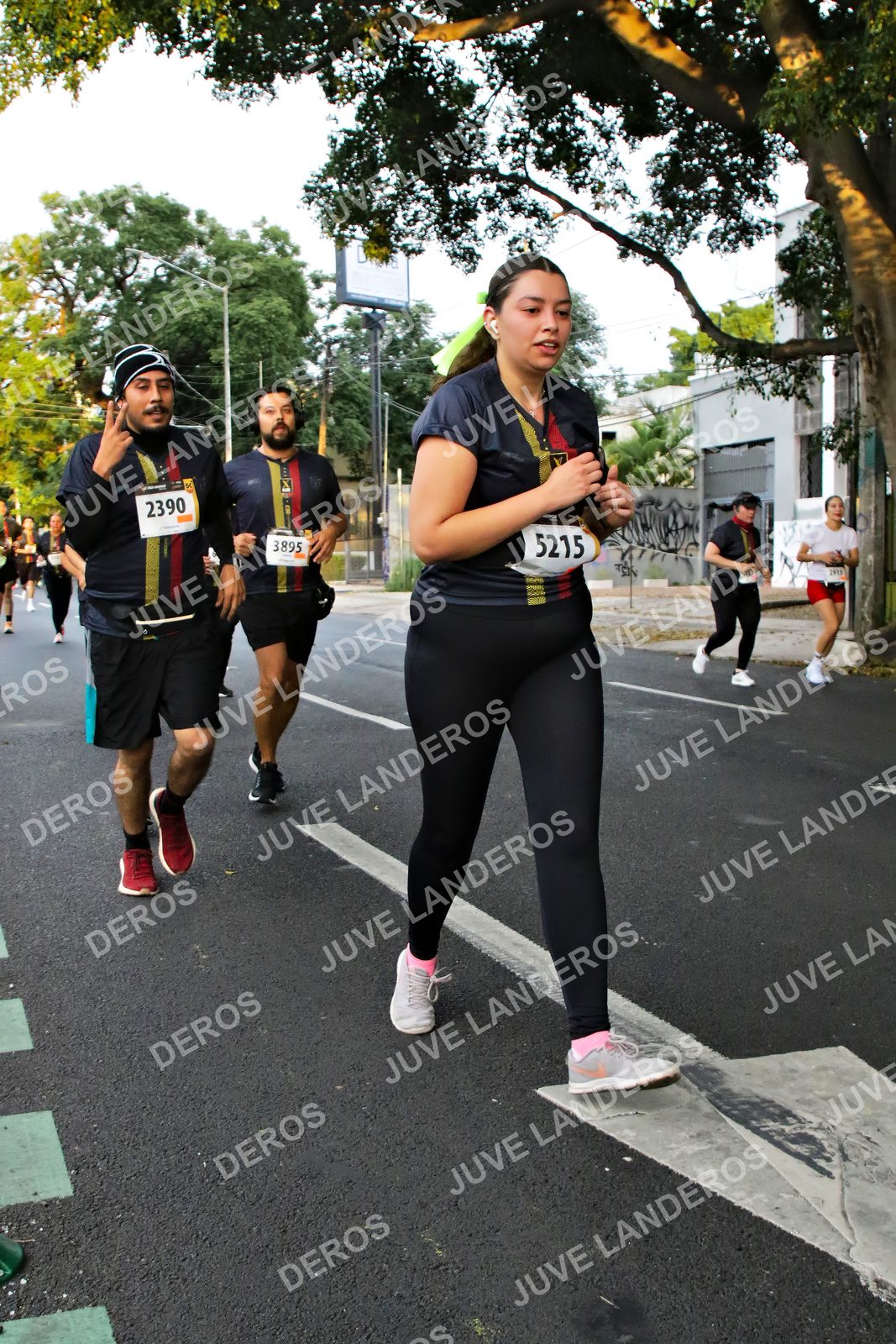 Foto de la X Carrera Leones Negros Red Cola 2026 en Rectoría General de la UdeG, Av. Juárez 976 (meta en Av. Enrique Díaz de León y Pedro Moreno), Guadalajara a las 05:06 · dorsal 5215, 2390, 3895
