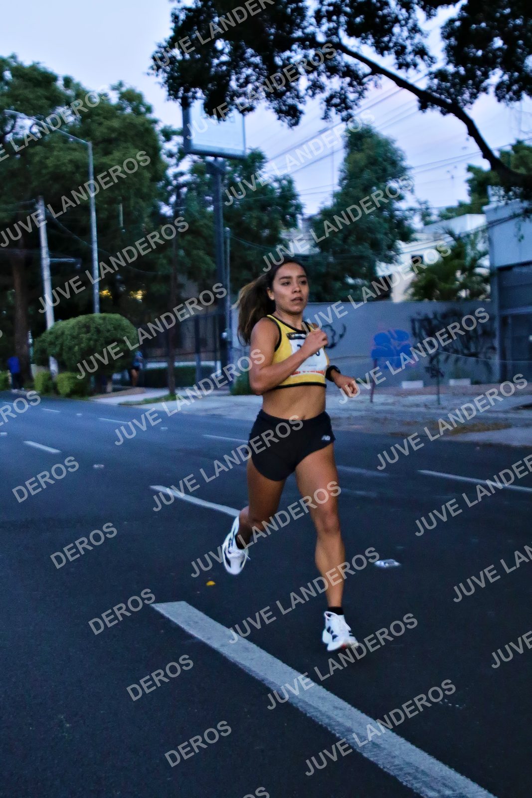 Foto de la X Carrera Leones Negros Red Cola 2026 en Rectoría General de la UdeG, Av. Juárez 976 (meta en Av. Enrique Díaz de León y Pedro Moreno), Guadalajara a las 04:50