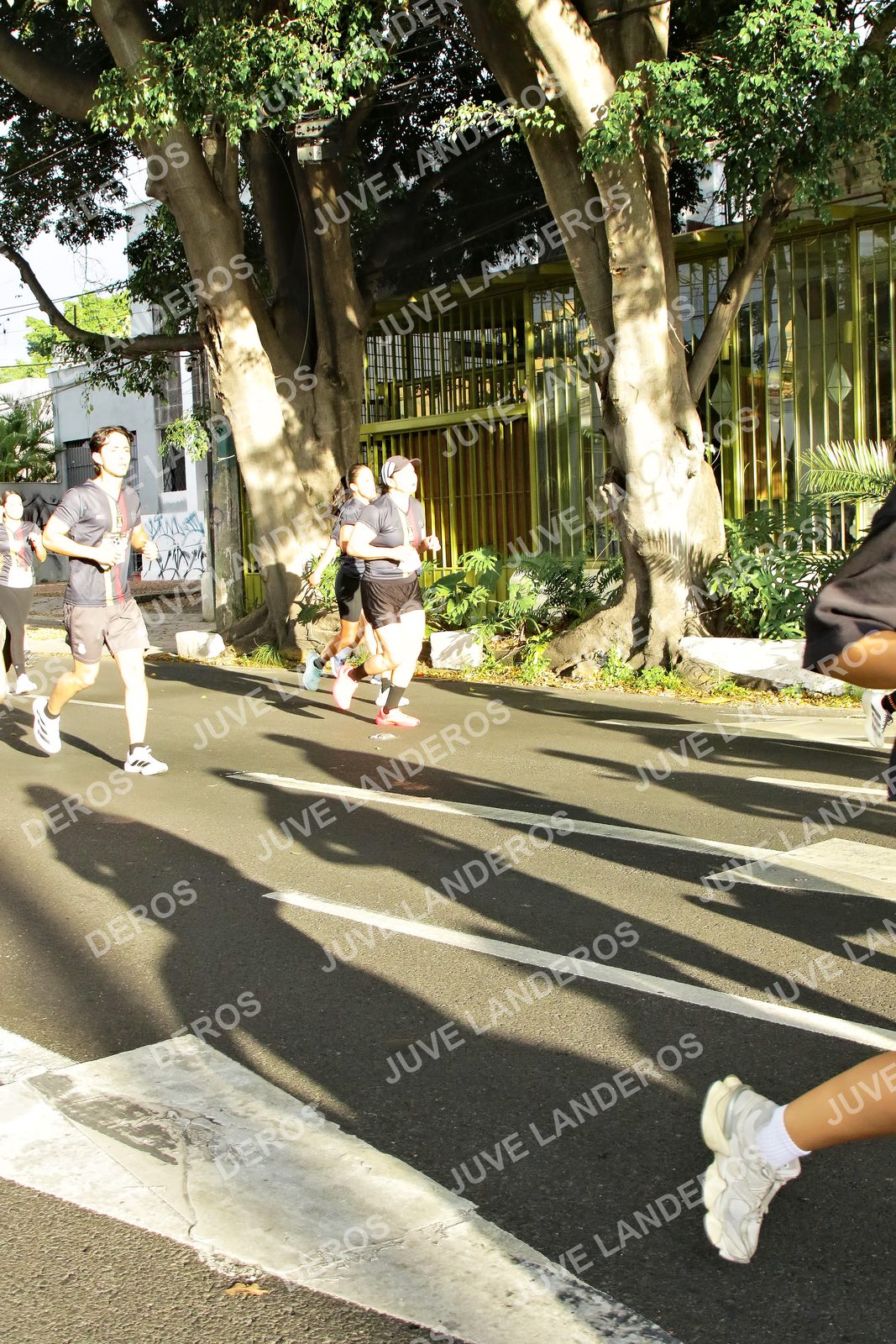 Foto de la X Carrera Leones Negros Red Cola 2026 en Rectoría General de la UdeG, Av. Juárez 976 (meta en Av. Enrique Díaz de León y Pedro Moreno), Guadalajara a las 07:51
