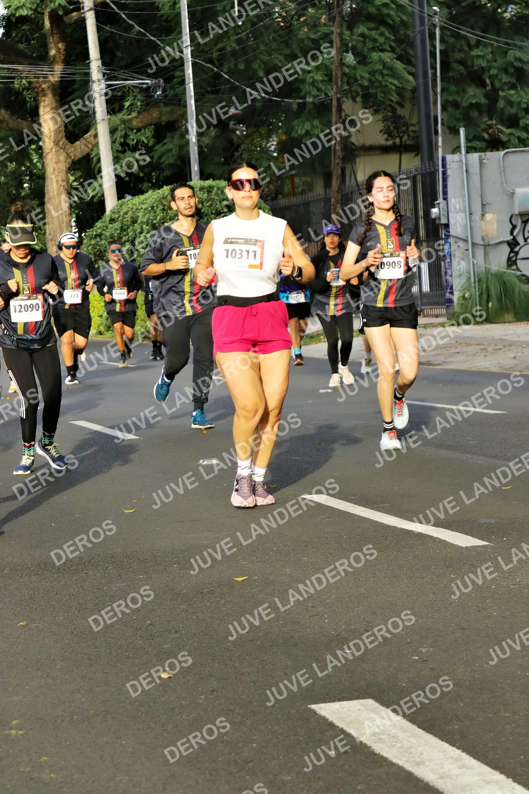Foto de la X Carrera Leones Negros Red Cola 2026 en Rectoría General de la UdeG, Av. Juárez 976 (meta en Av. Enrique Díaz de León y Pedro Moreno), Guadalajara a las 08:02 · dorsal 10311, 12090, 908