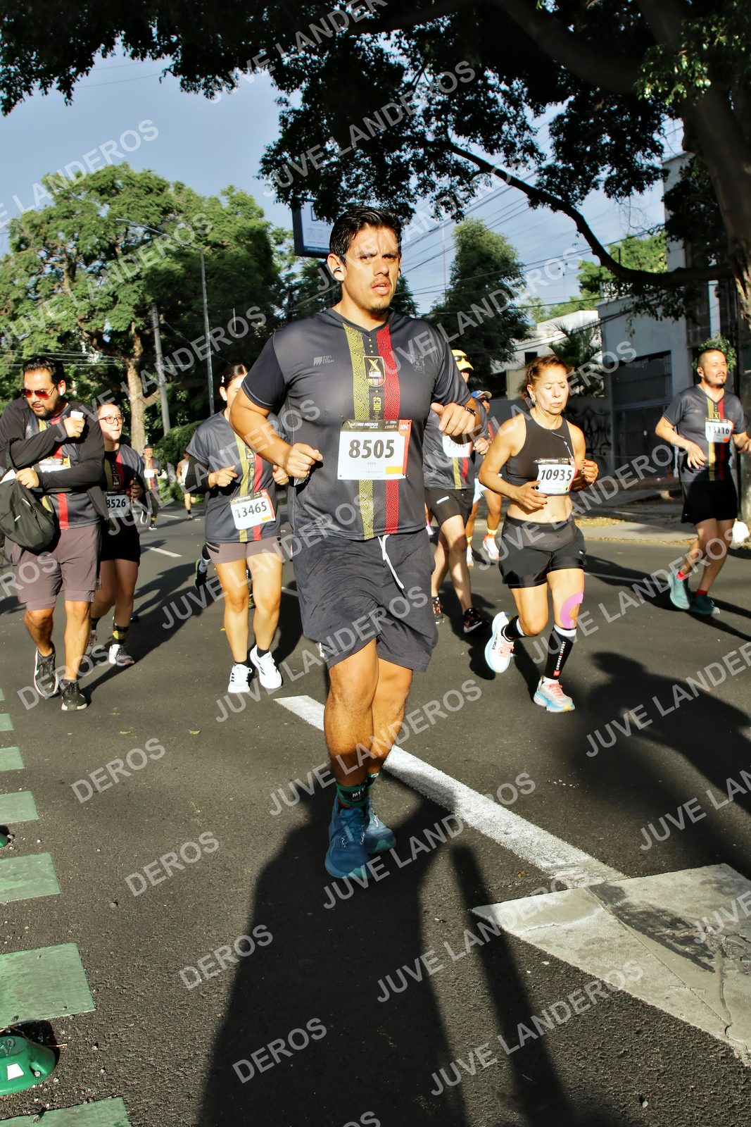 Foto de la X Carrera Leones Negros Red Cola 2026 en Rectoría General de la UdeG, Av. Juárez 976 (meta en Av. Enrique Díaz de León y Pedro Moreno), Guadalajara a las 07:54 · dorsal 8505, 10935, 13465, 8526