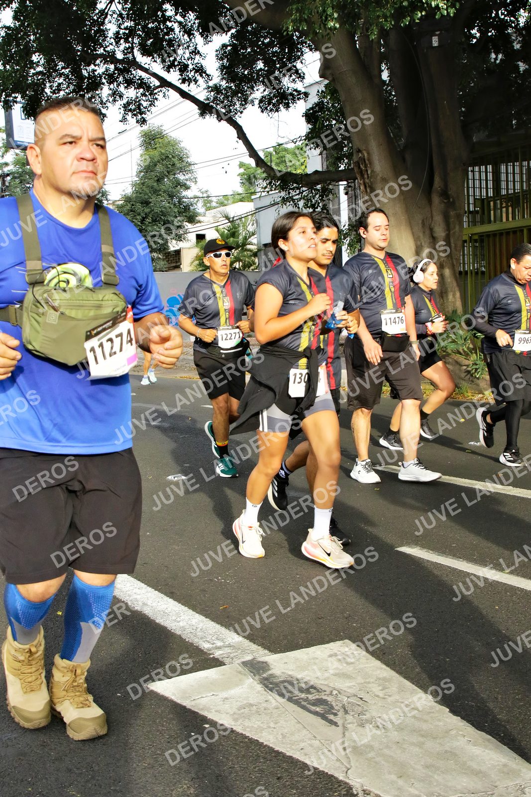Foto de la X Carrera Leones Negros Red Cola 2026 en Rectoría General de la UdeG, Av. Juárez 976 (meta en Av. Enrique Díaz de León y Pedro Moreno), Guadalajara a las 08:04 · dorsal 11274, 130, 11476, 12271